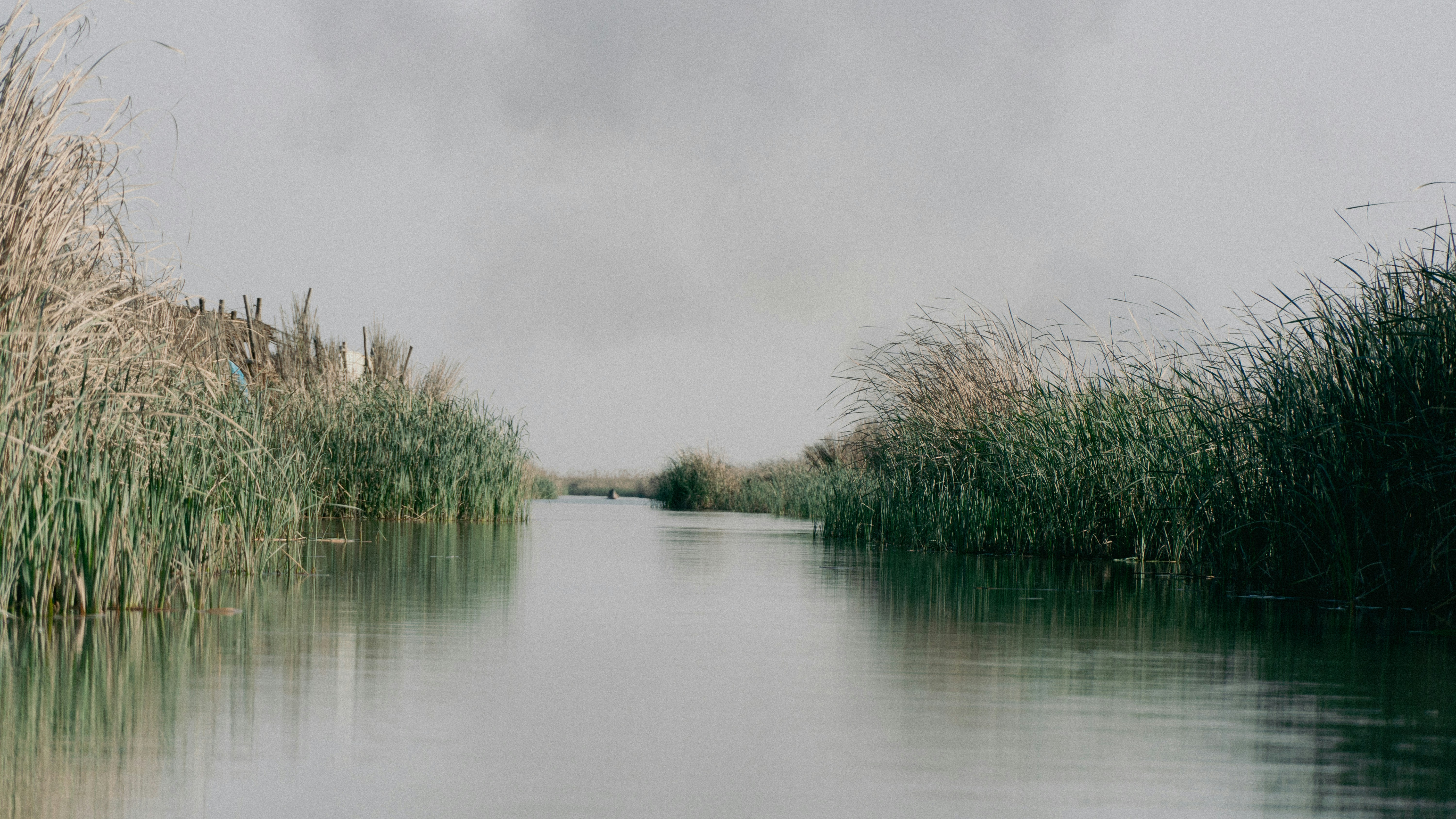 Photo by mrgreatheart