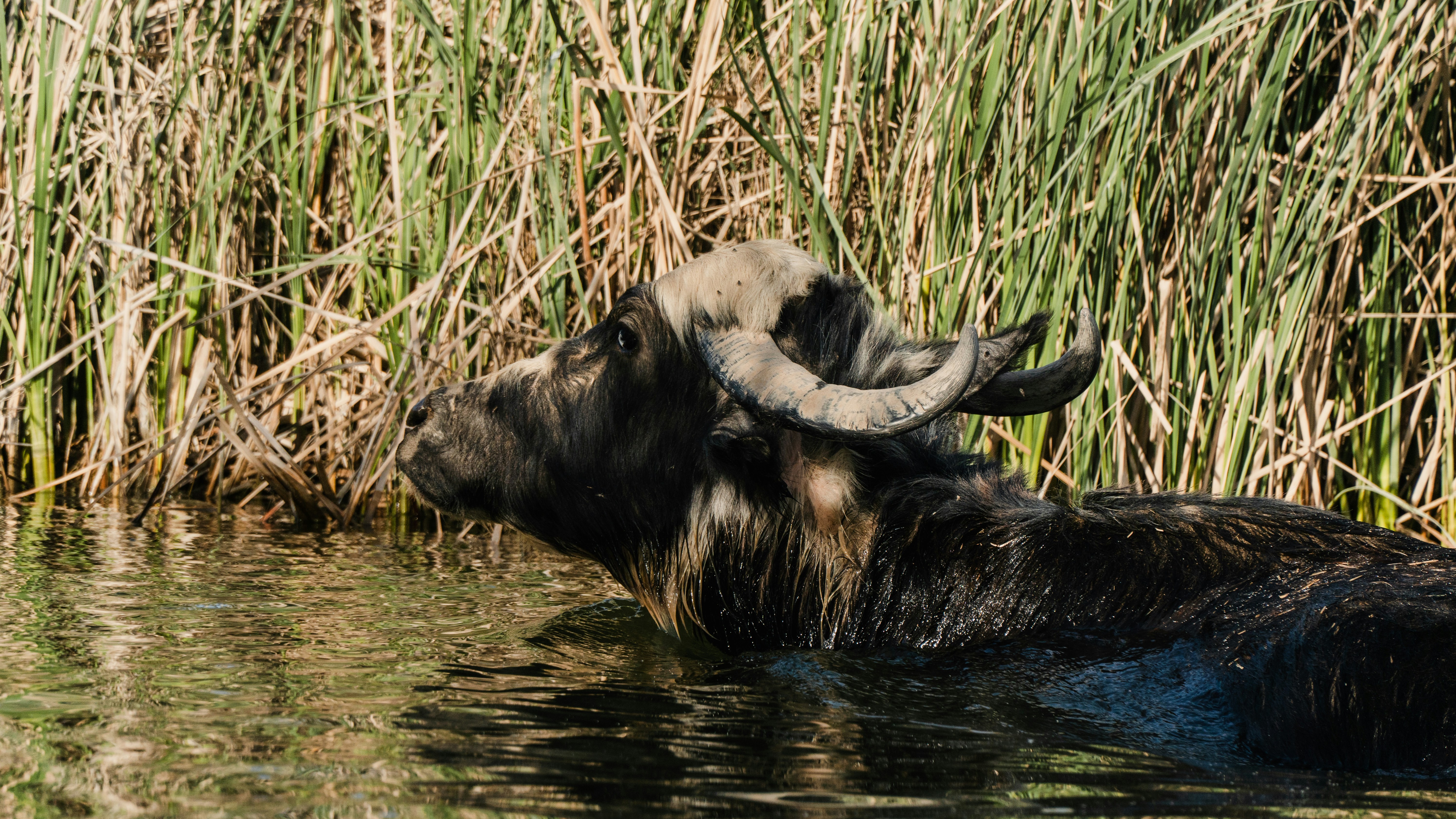 Photo by mrgreatheart