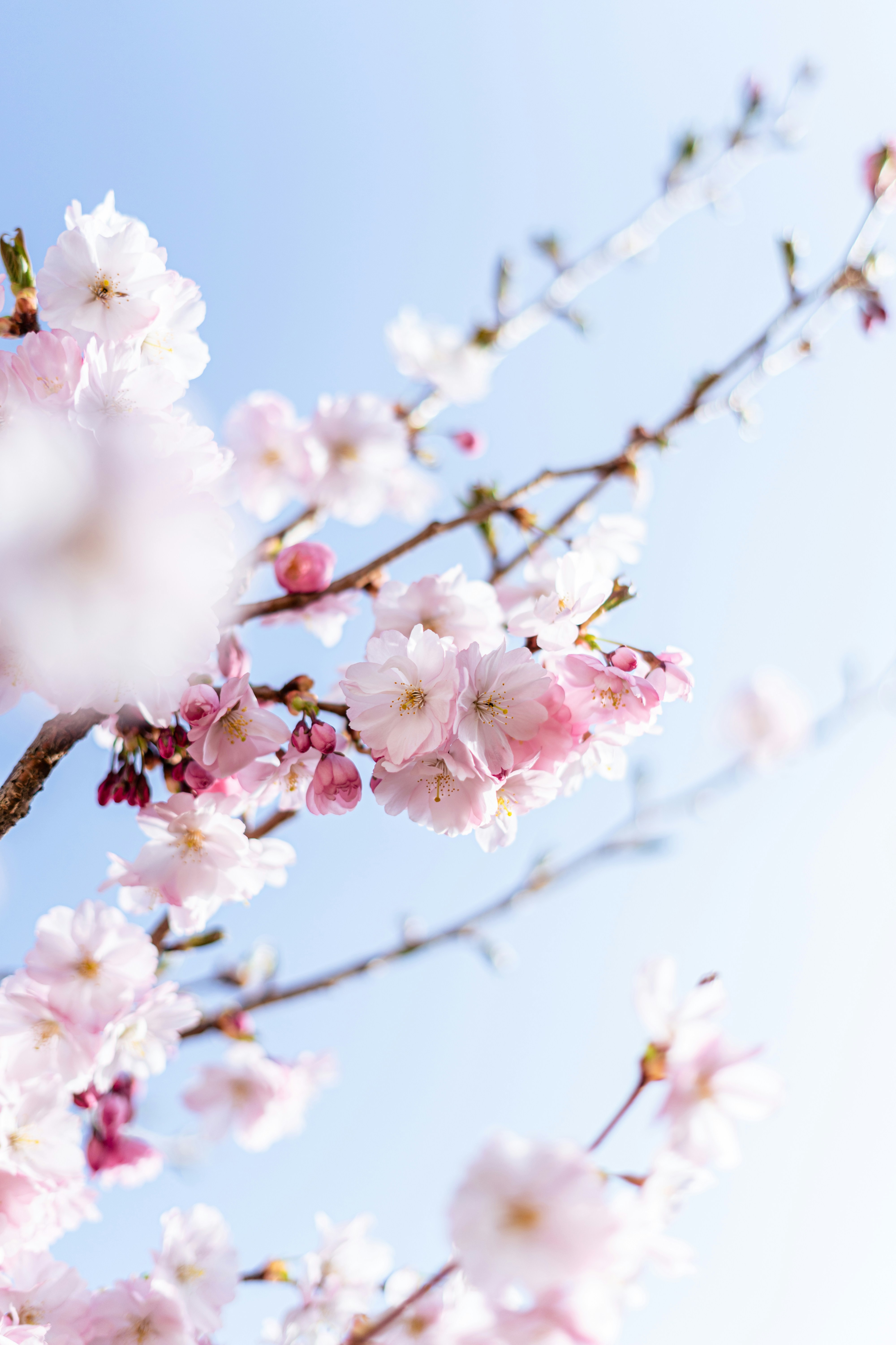 Photo by virussinside