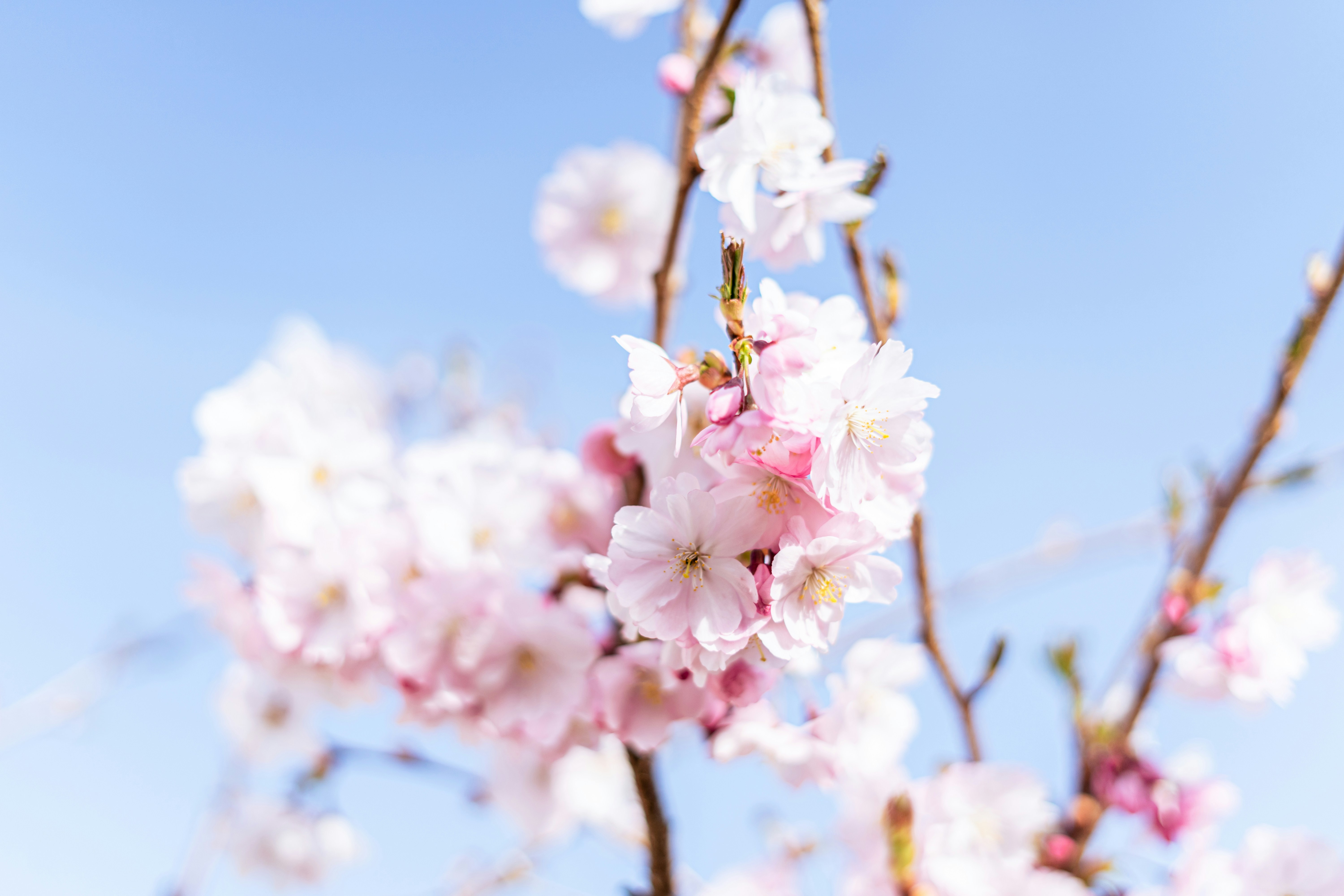 Photo by virussinside