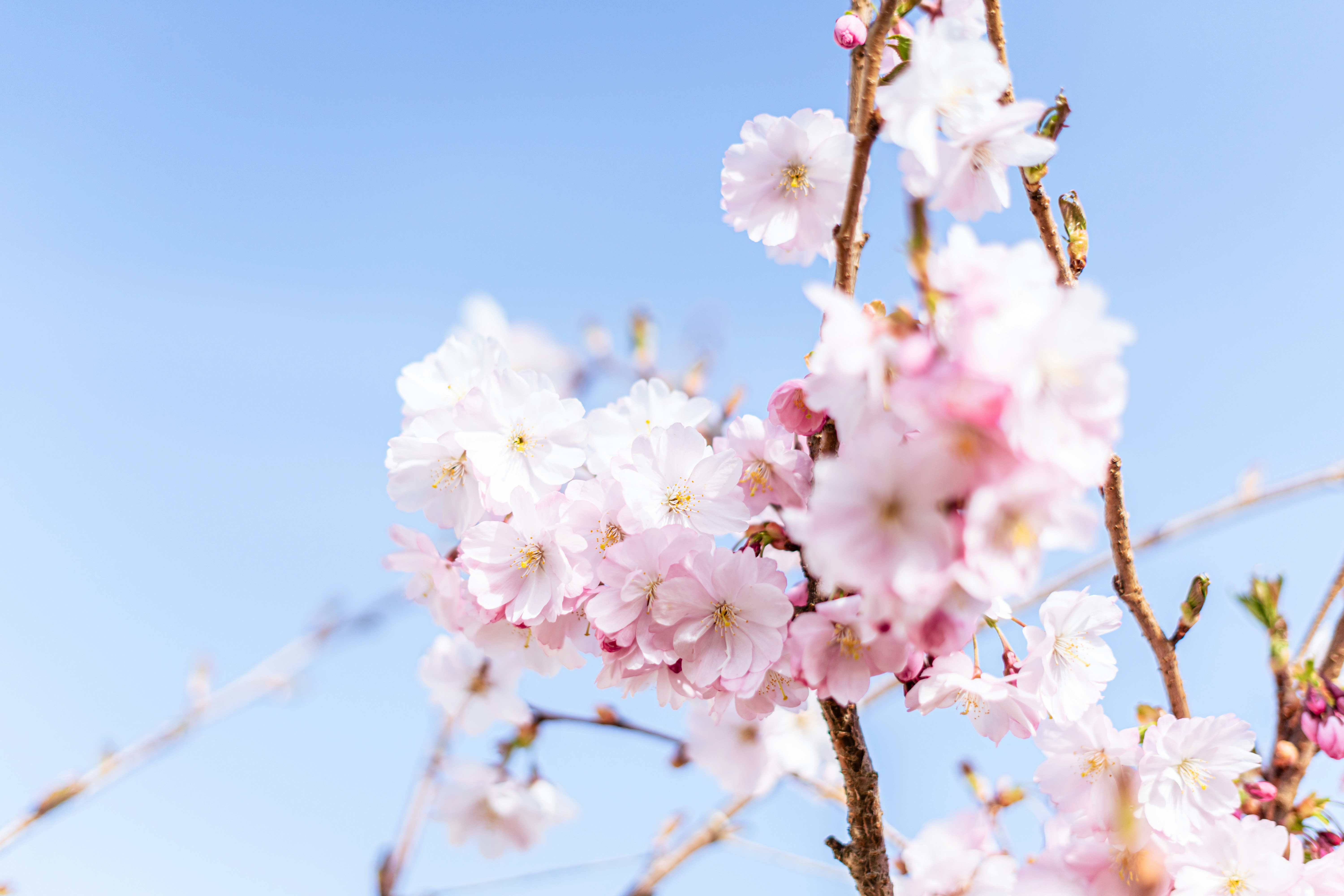 Photo by virussinside