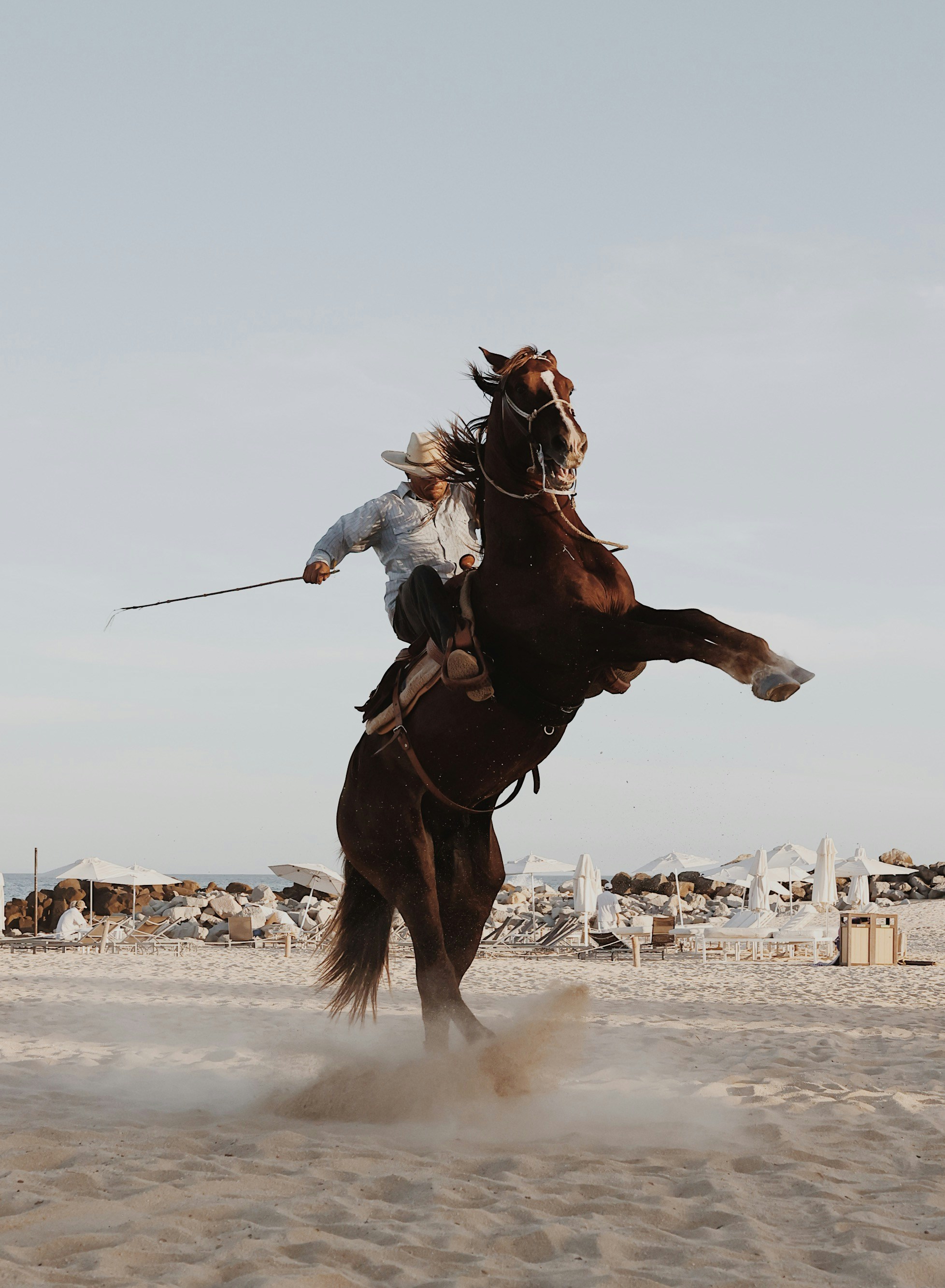 a man riding on the back of a brown horse