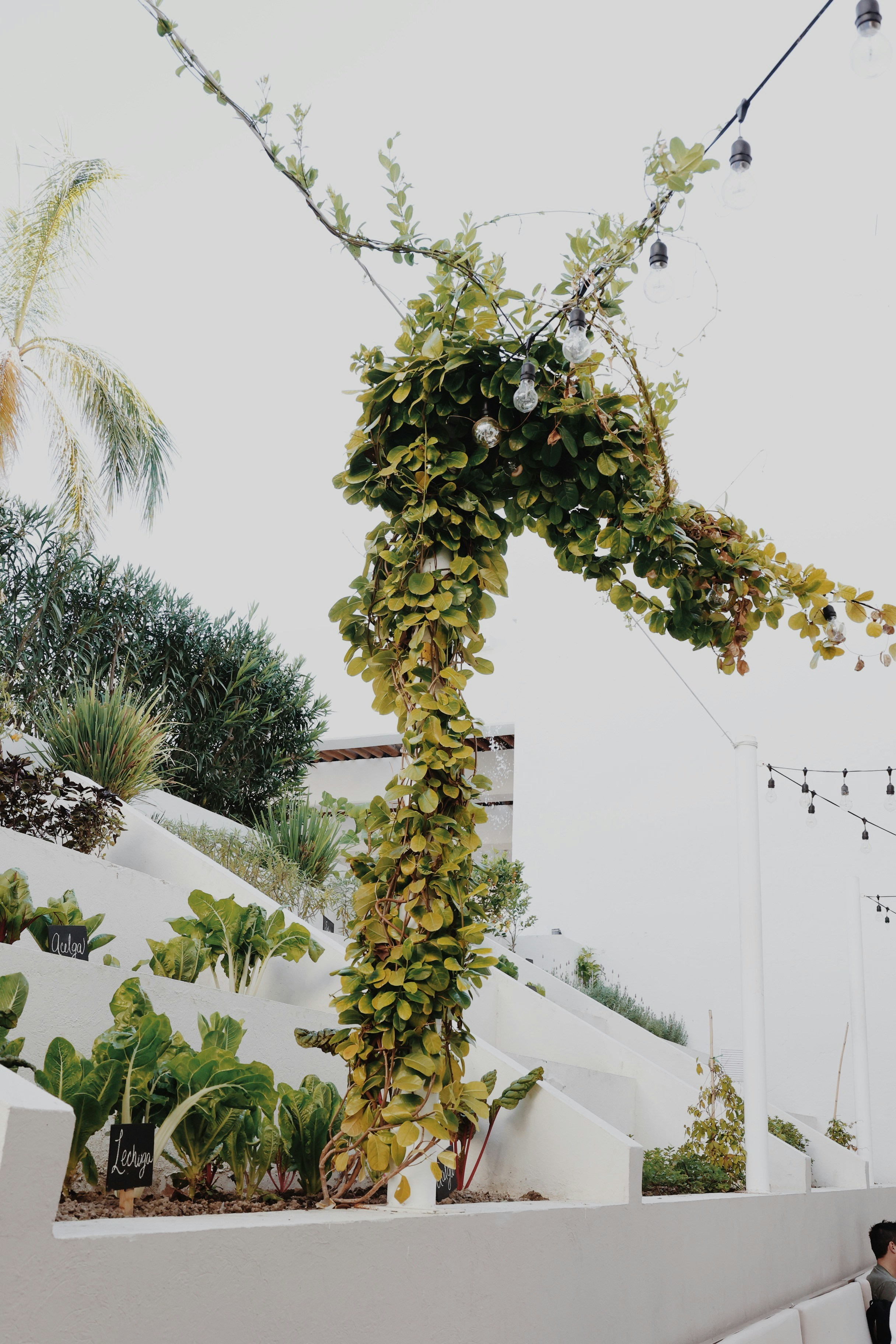 Photo by emmahope_15