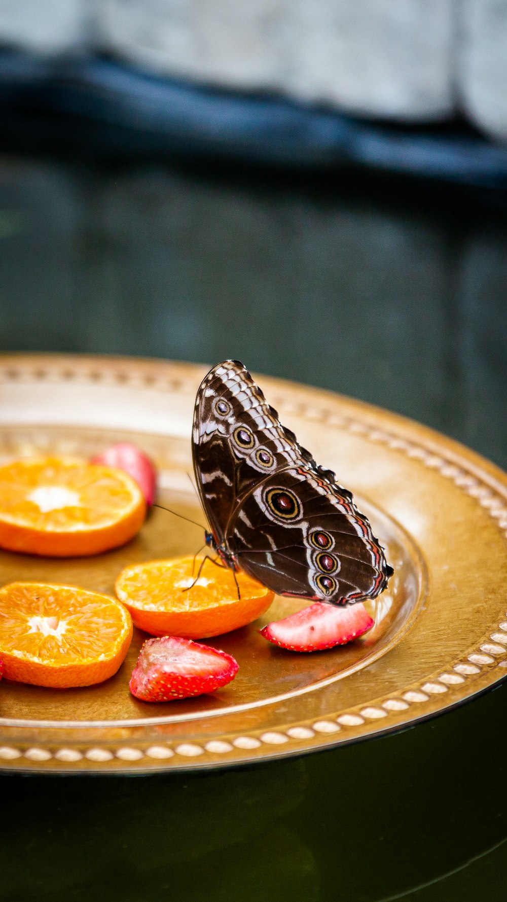 a butterfly sitting on top of a plate of fruit