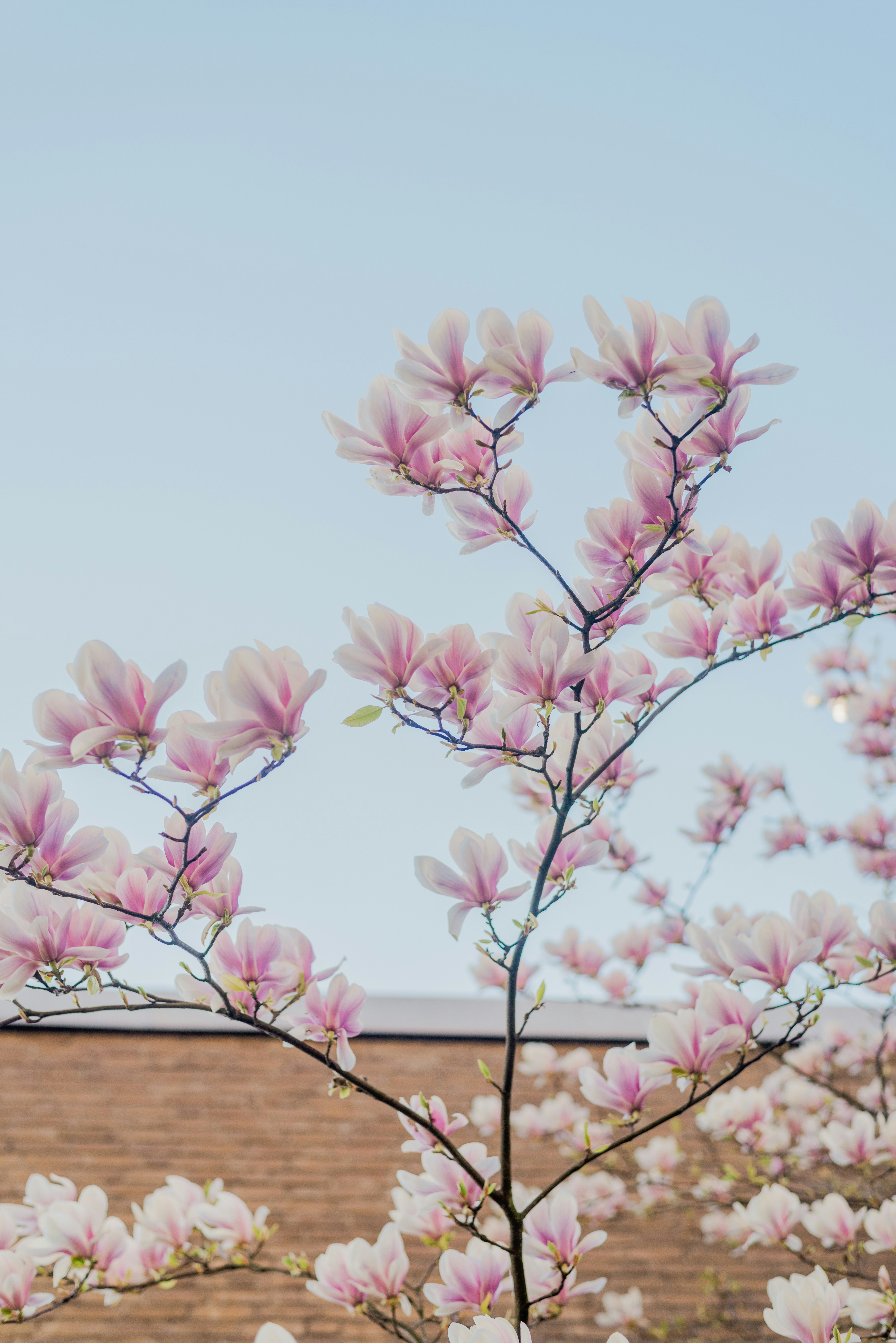 Photo by eugenivy_now