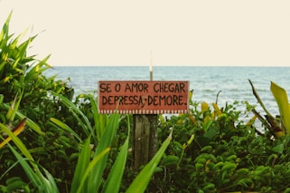 a sign on a wooden post in front of a body of water