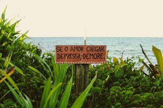 a sign on a wooden post in front of a body of water
