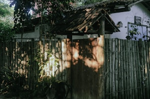 A rustic wooden fence with bamboo poles and a traditional wooden gate partially shaded by overhanging tree branches. Sunlight filters through the leaves creating dappled patterns on the fence. Green foliage surrounds the area adding an overgrown and natural atmosphere.