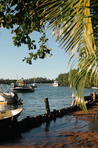 a group of boats floating on top of a body of water