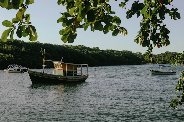 Pesca em Santarém, PA