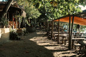 a row of wooden benches sitting next to a lush green forest