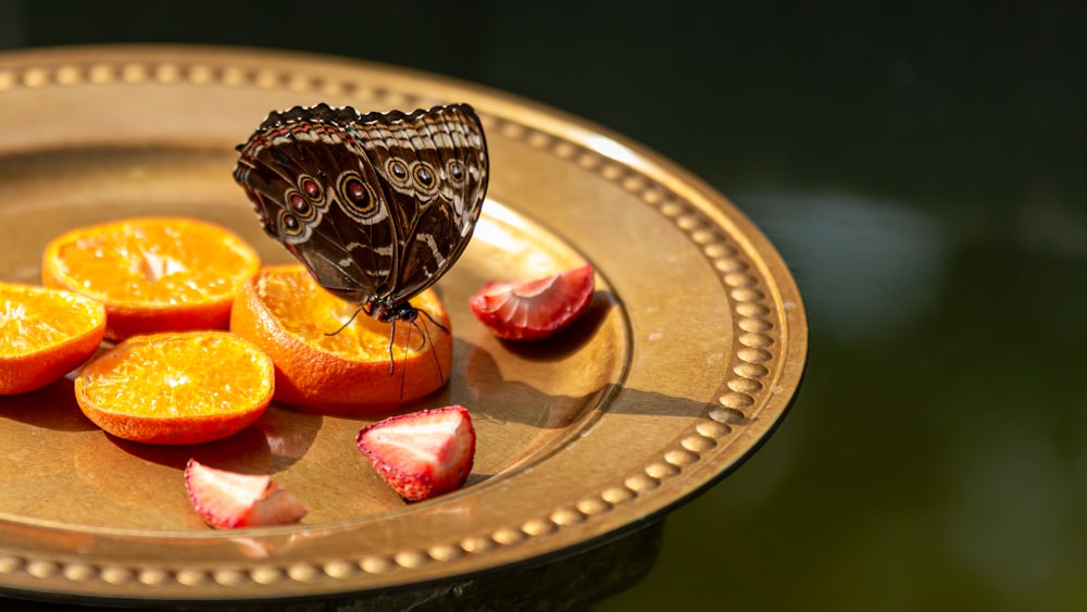 a butterfly sitting on top of an orange on a plate
