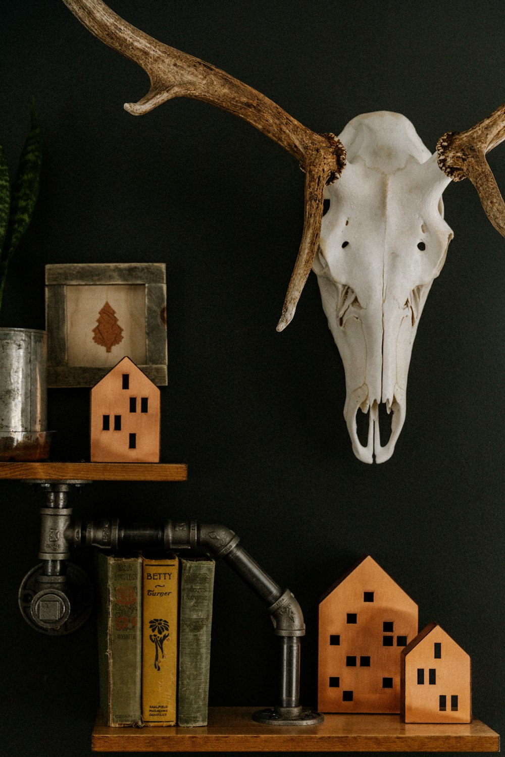 a cow skull mounted on a wall next to books