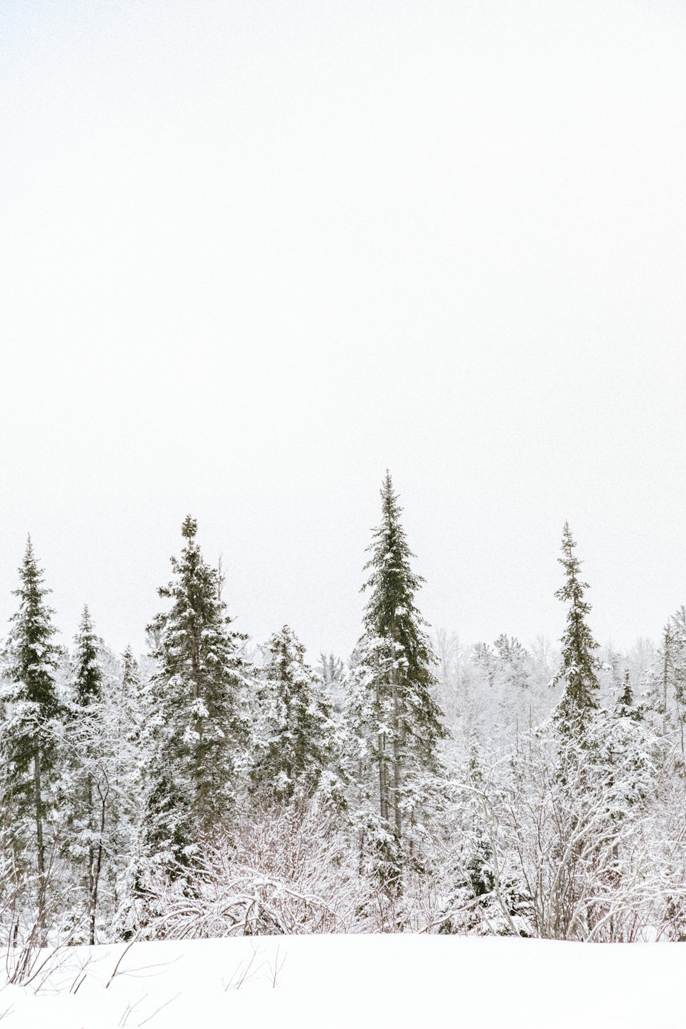 a person riding skis on a snowy surface