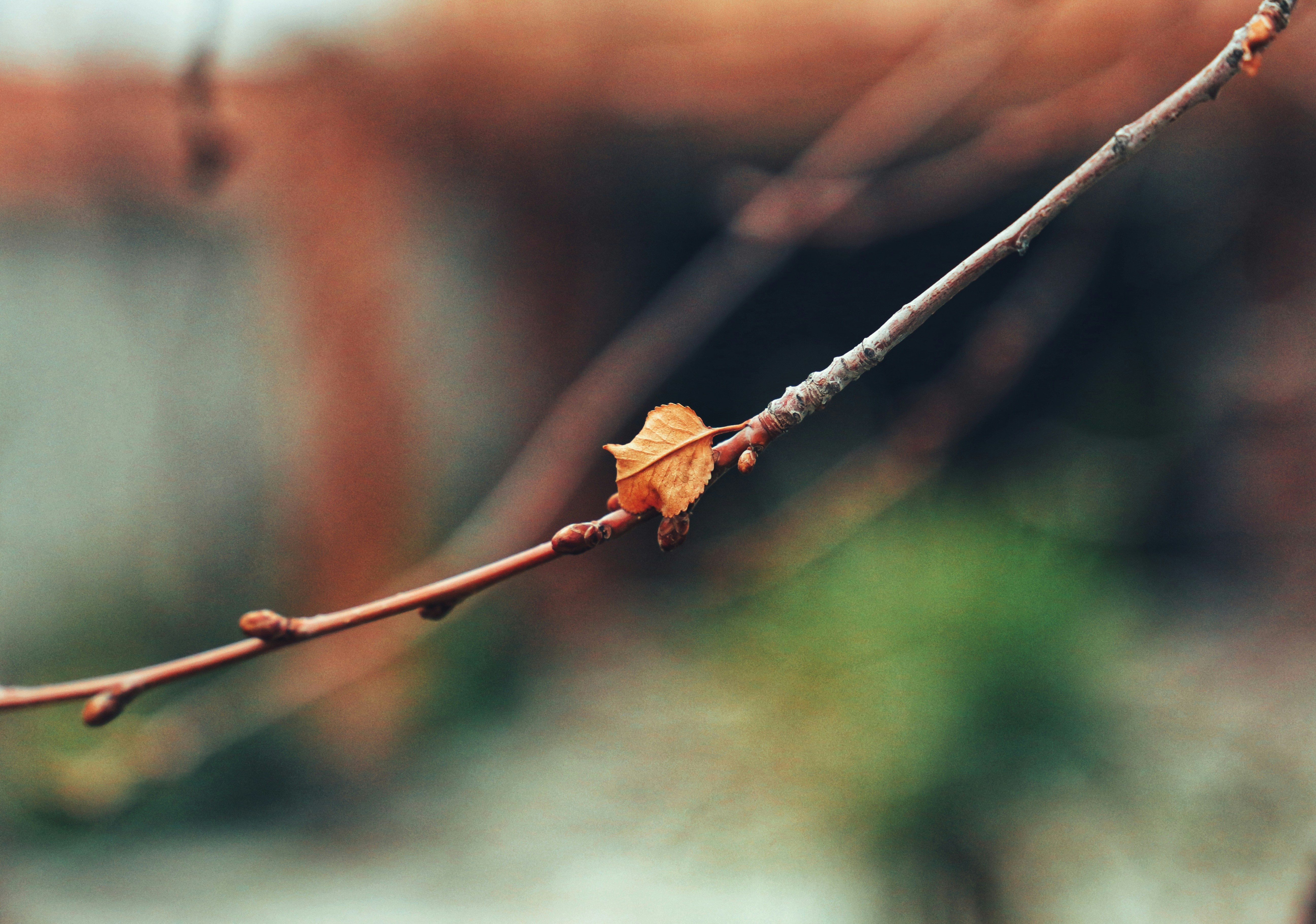 Photo by fateme_sharifi_f