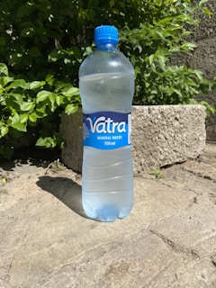 A plastic bottle of mineral water labeled 'Vatra,' with a blue cap, is standing on a light stone ground. The background features lush green leaves and a rough concrete block.