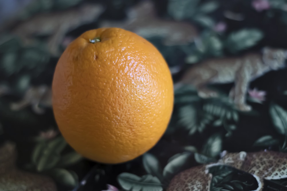 a close up of an orange on a floral background