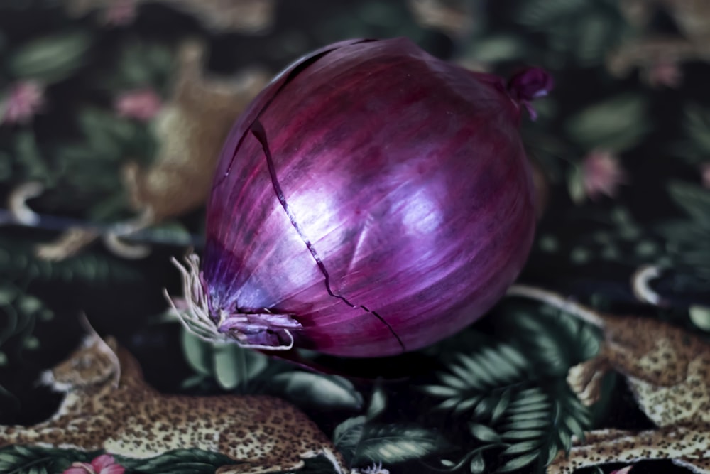 a red onion sitting on top of a floral table cloth