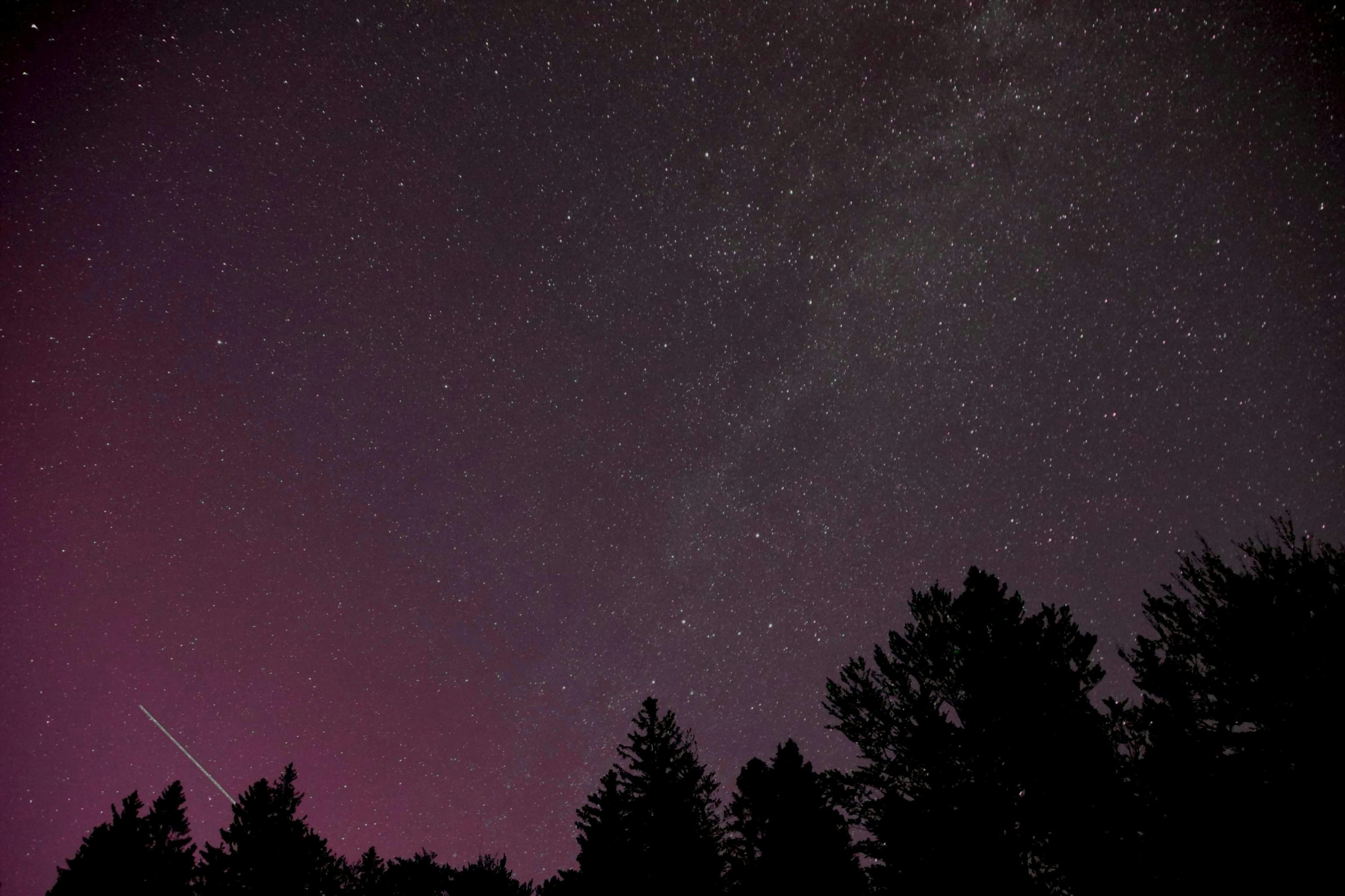 Photo by dark_ness28