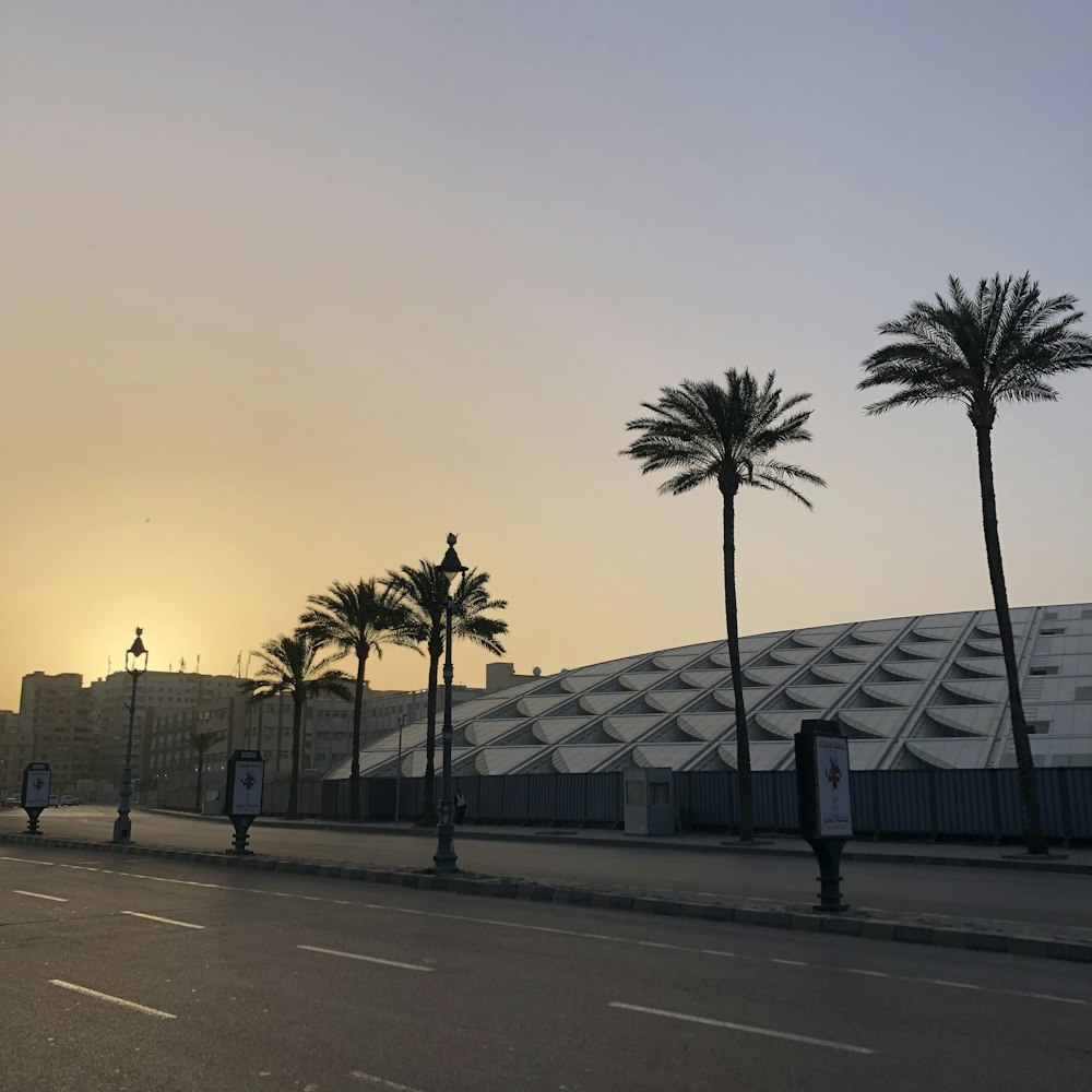 the sun is setting behind palm trees on the side of the road