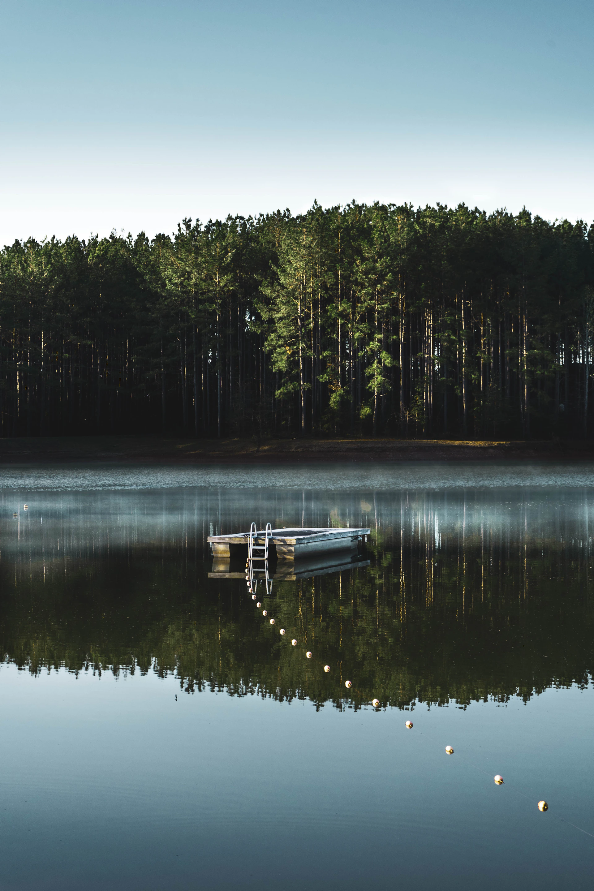 a boat sitting on top of a lake next to a forest