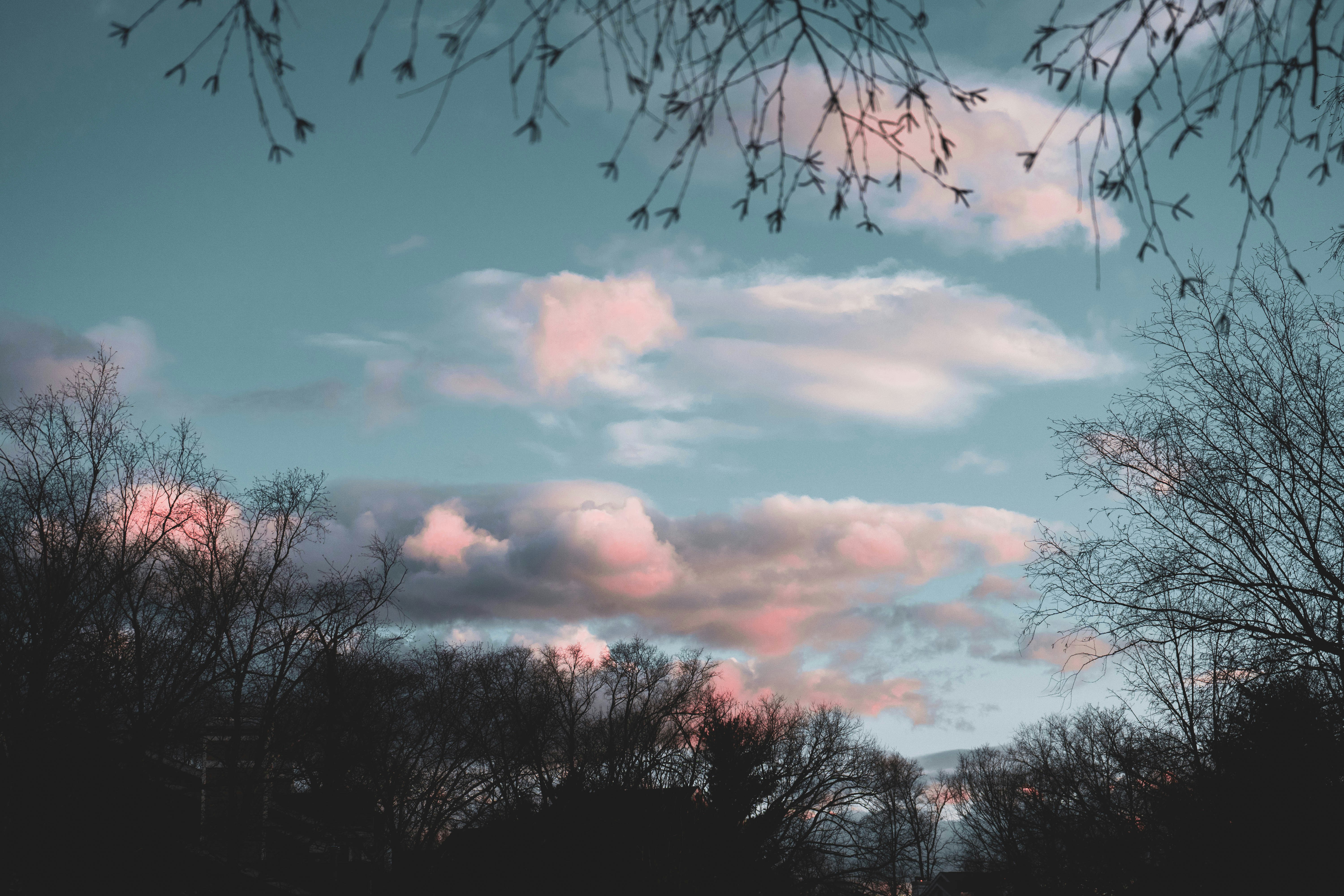 Photo by mayertawfik