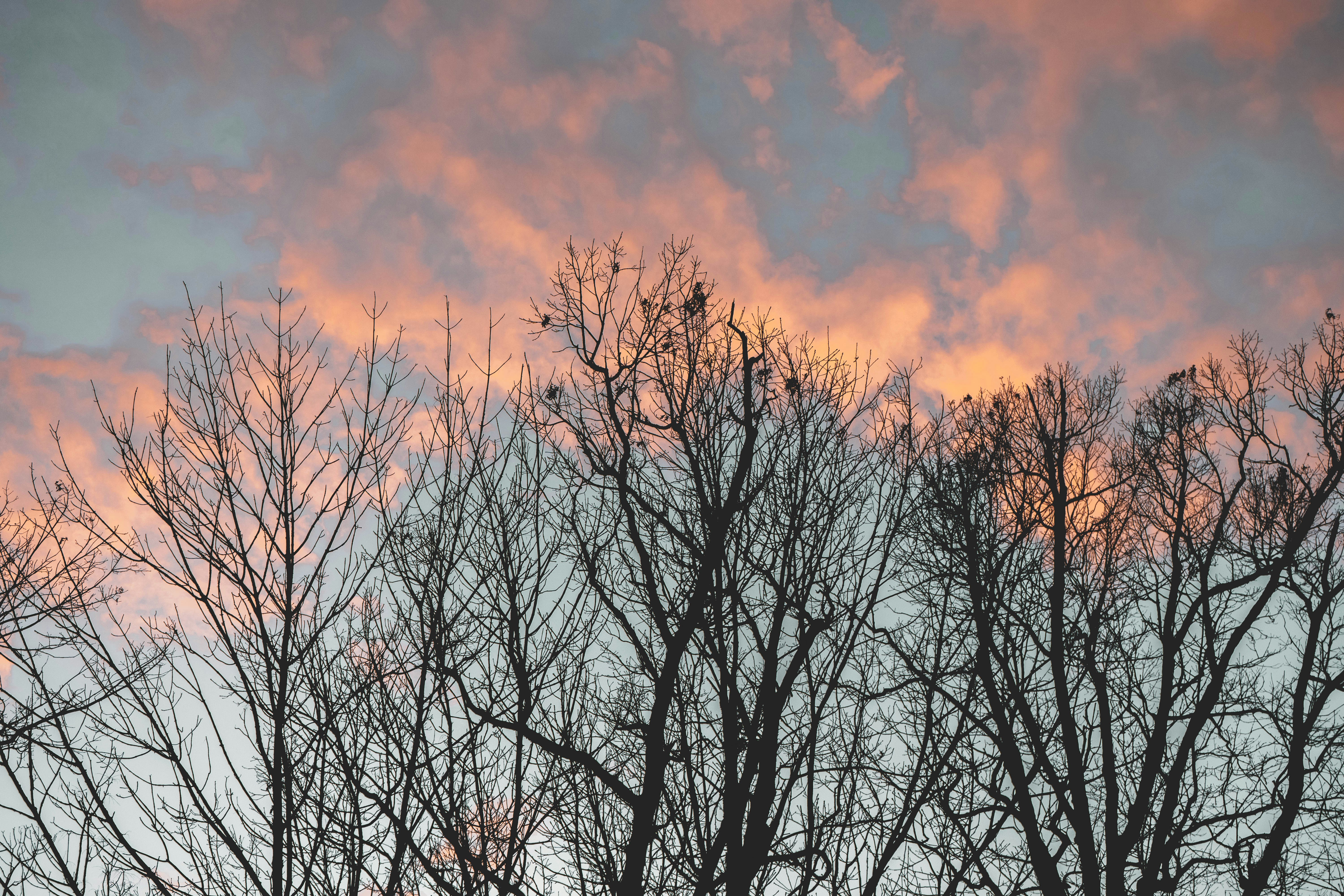 Photo by mayertawfik