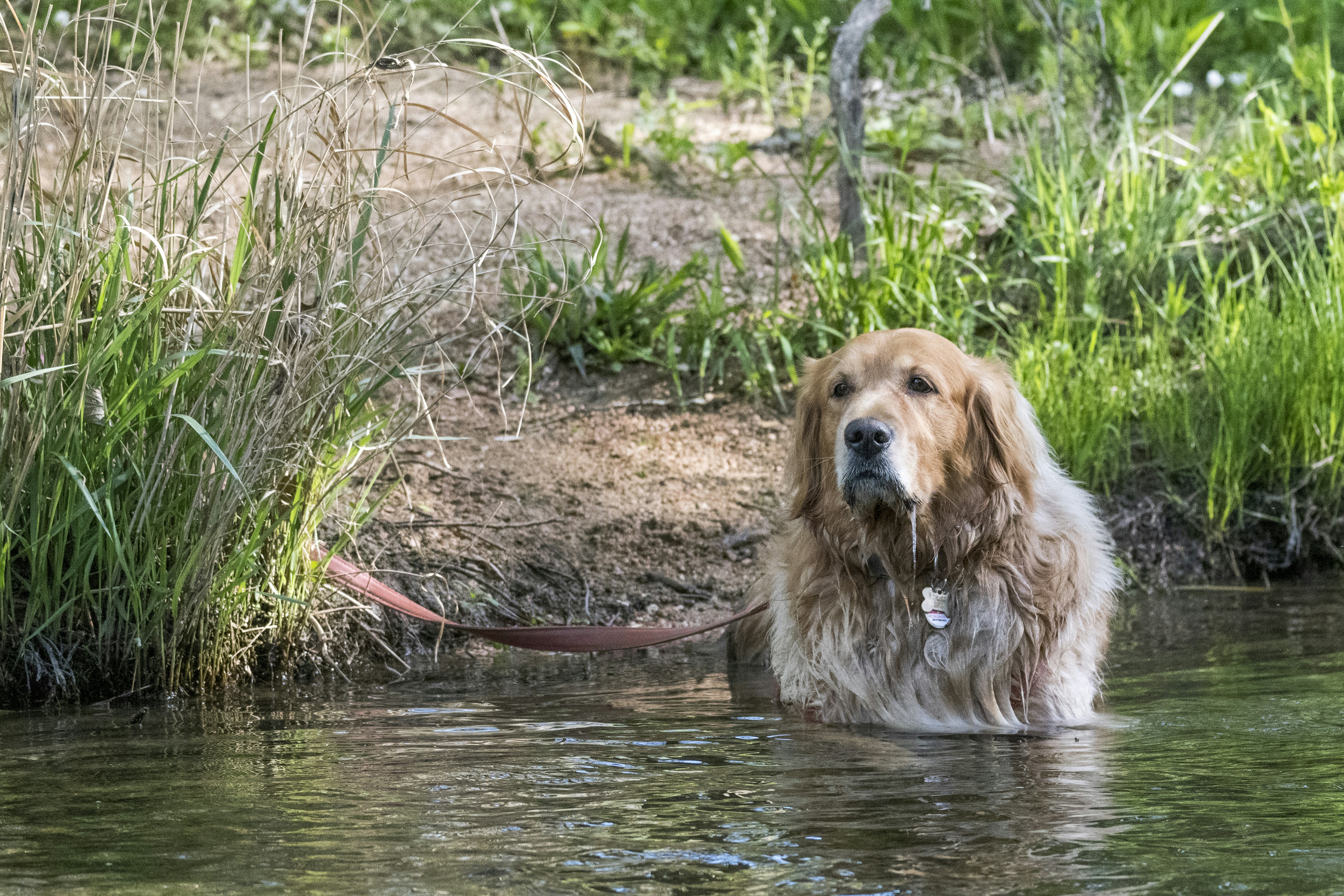 Cool Down and Stretching for a Stronger Core