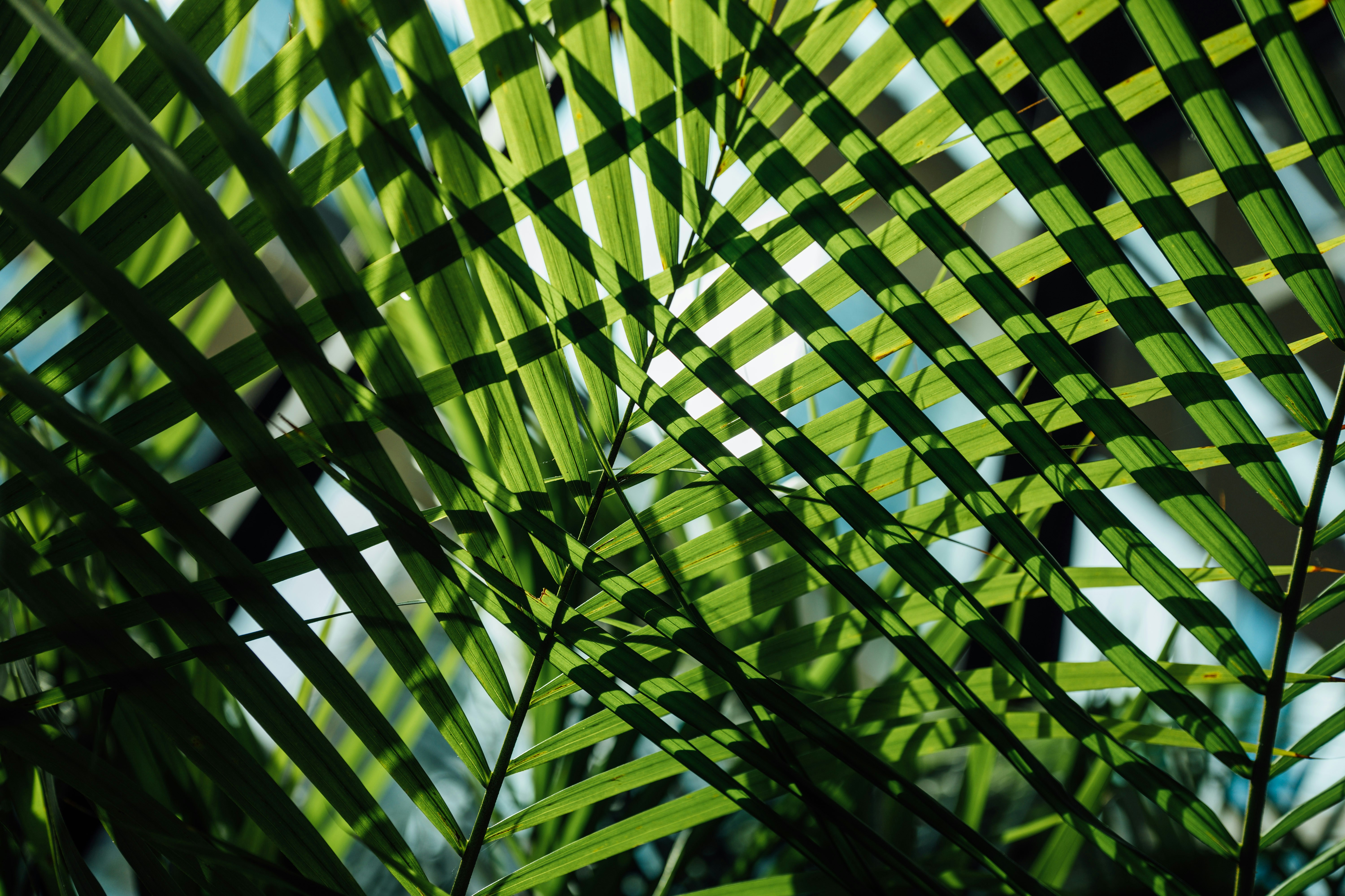 Photo by chuttersnap