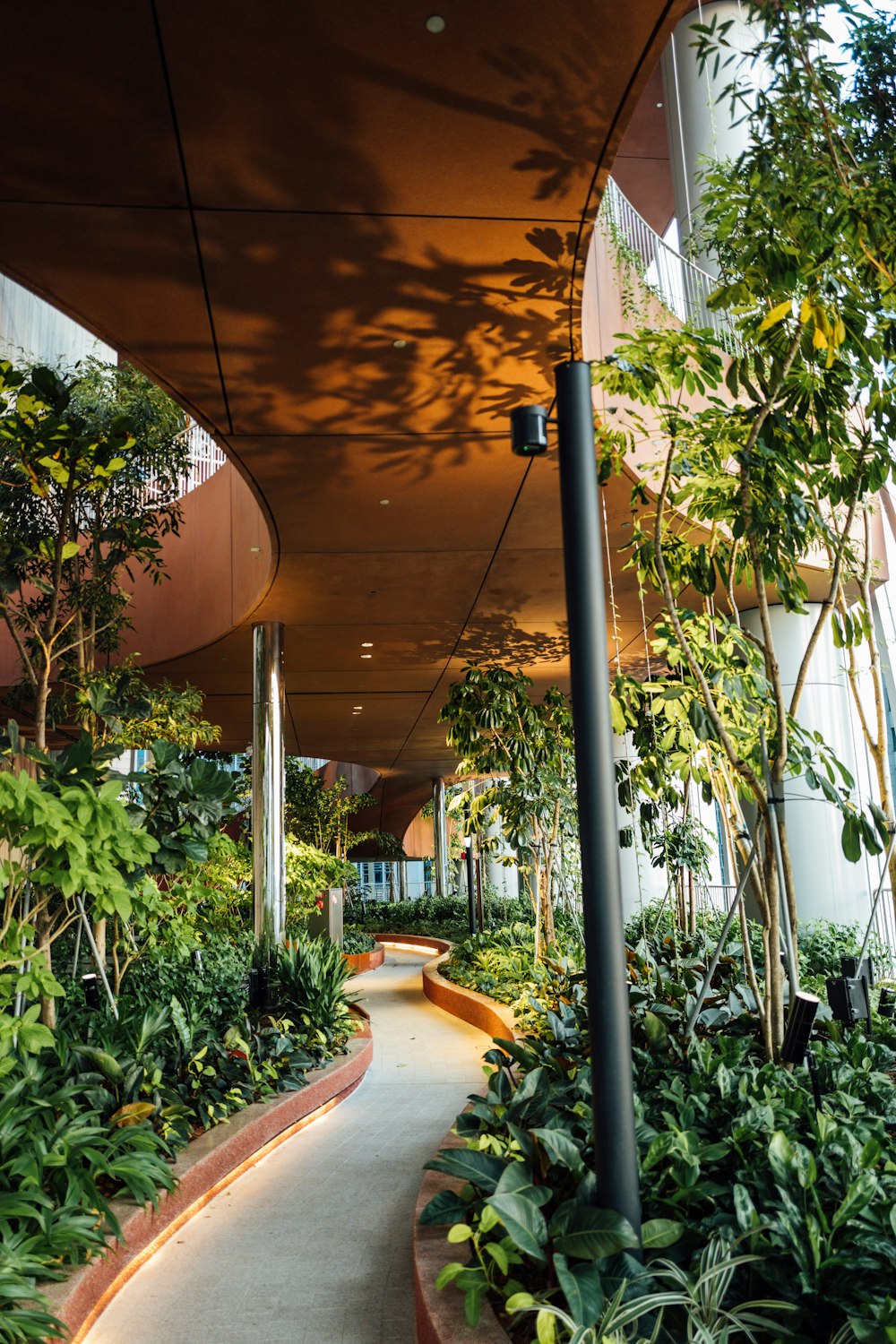 a walkway lined with lots of plants next to a building