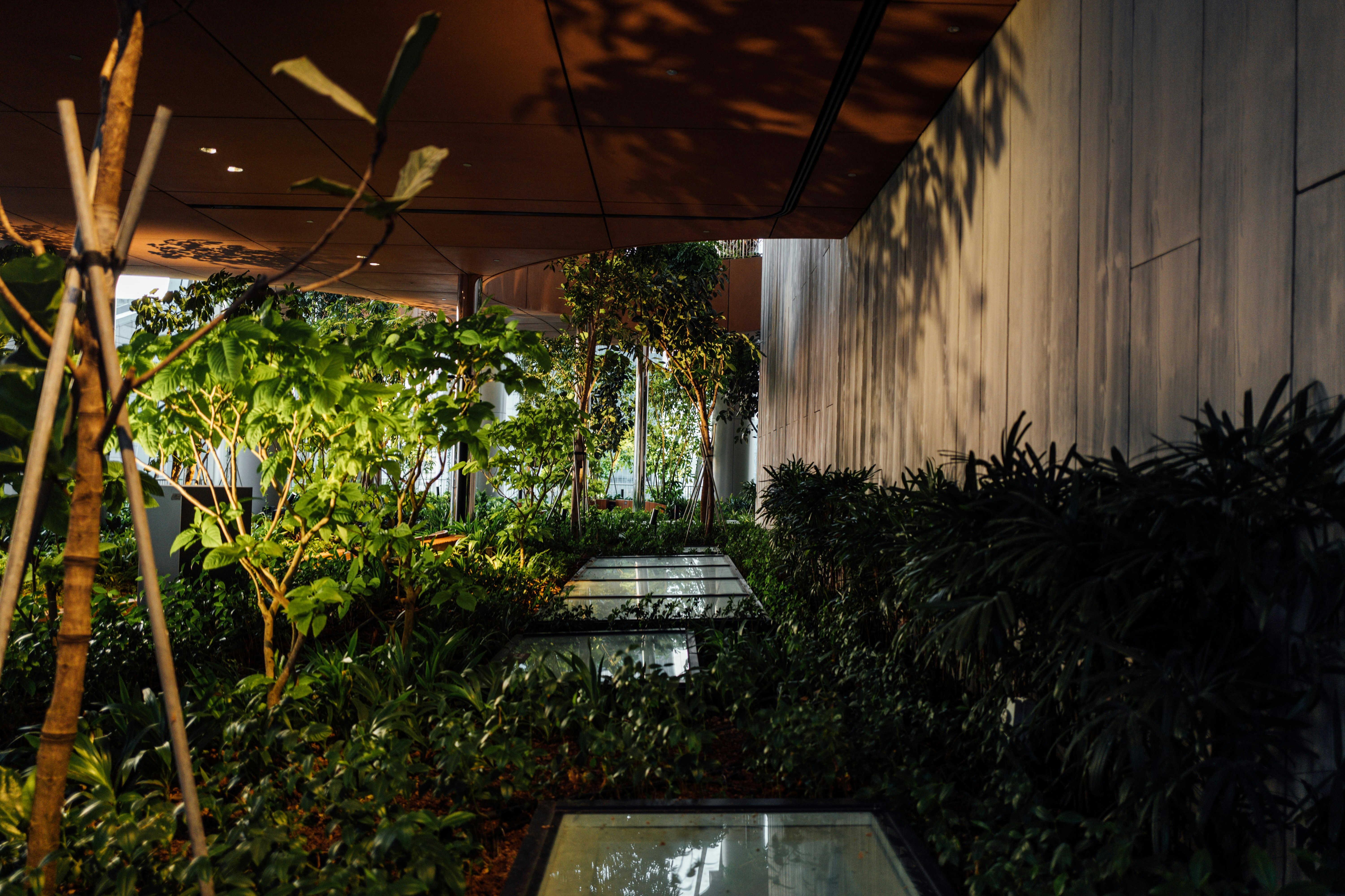 Photo by chuttersnap