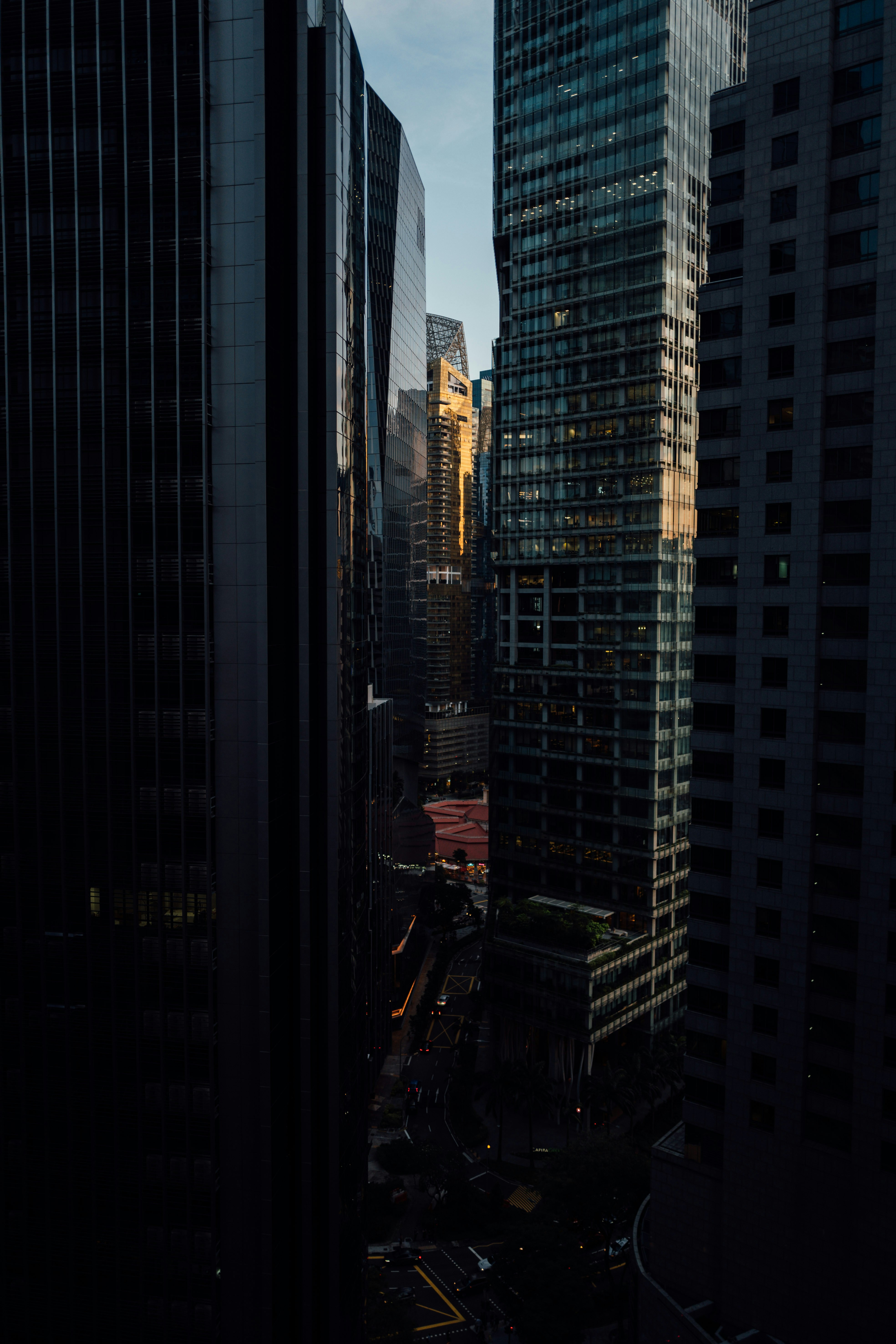 Photo by chuttersnap