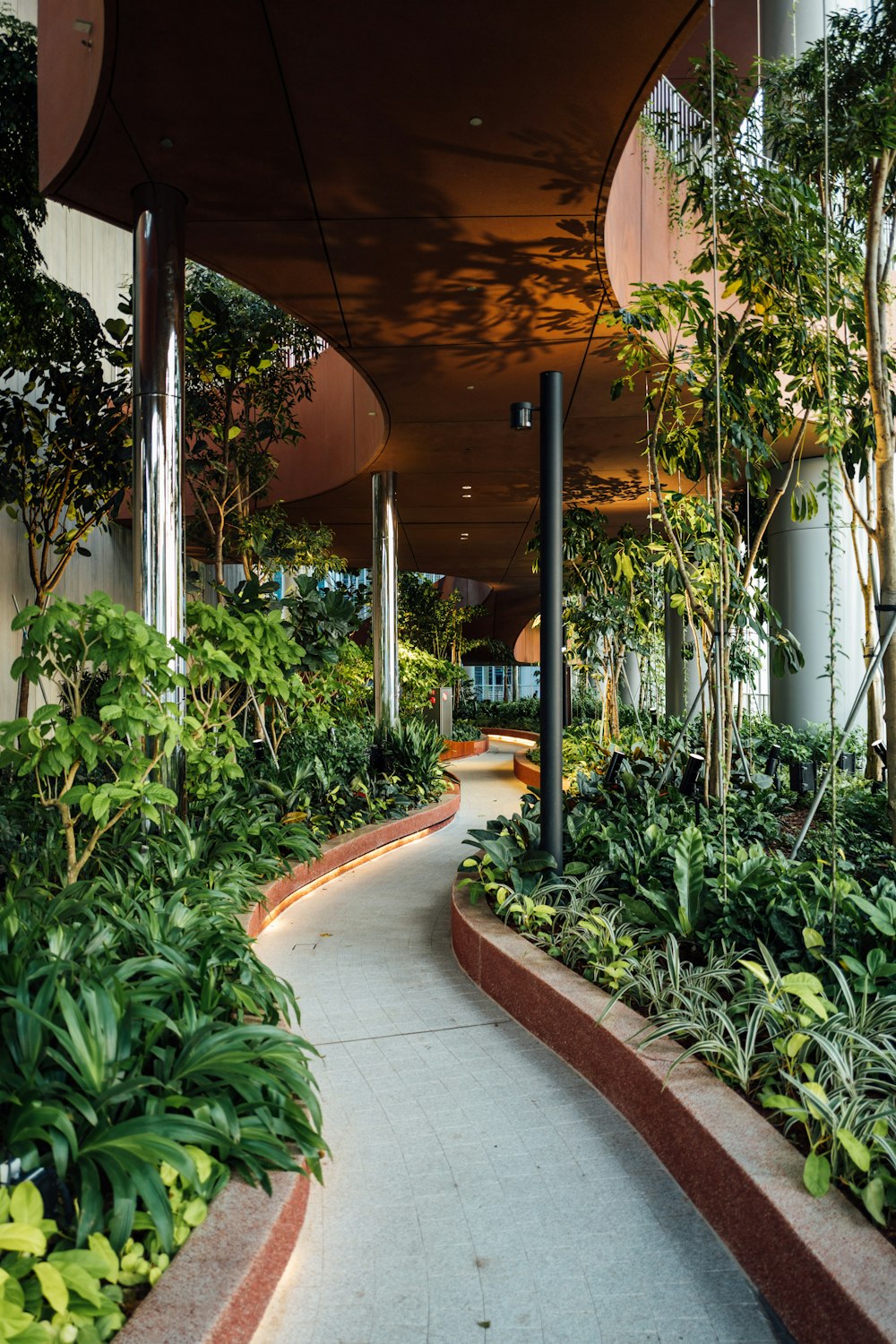 a walkway lined with lots of plants next to a building