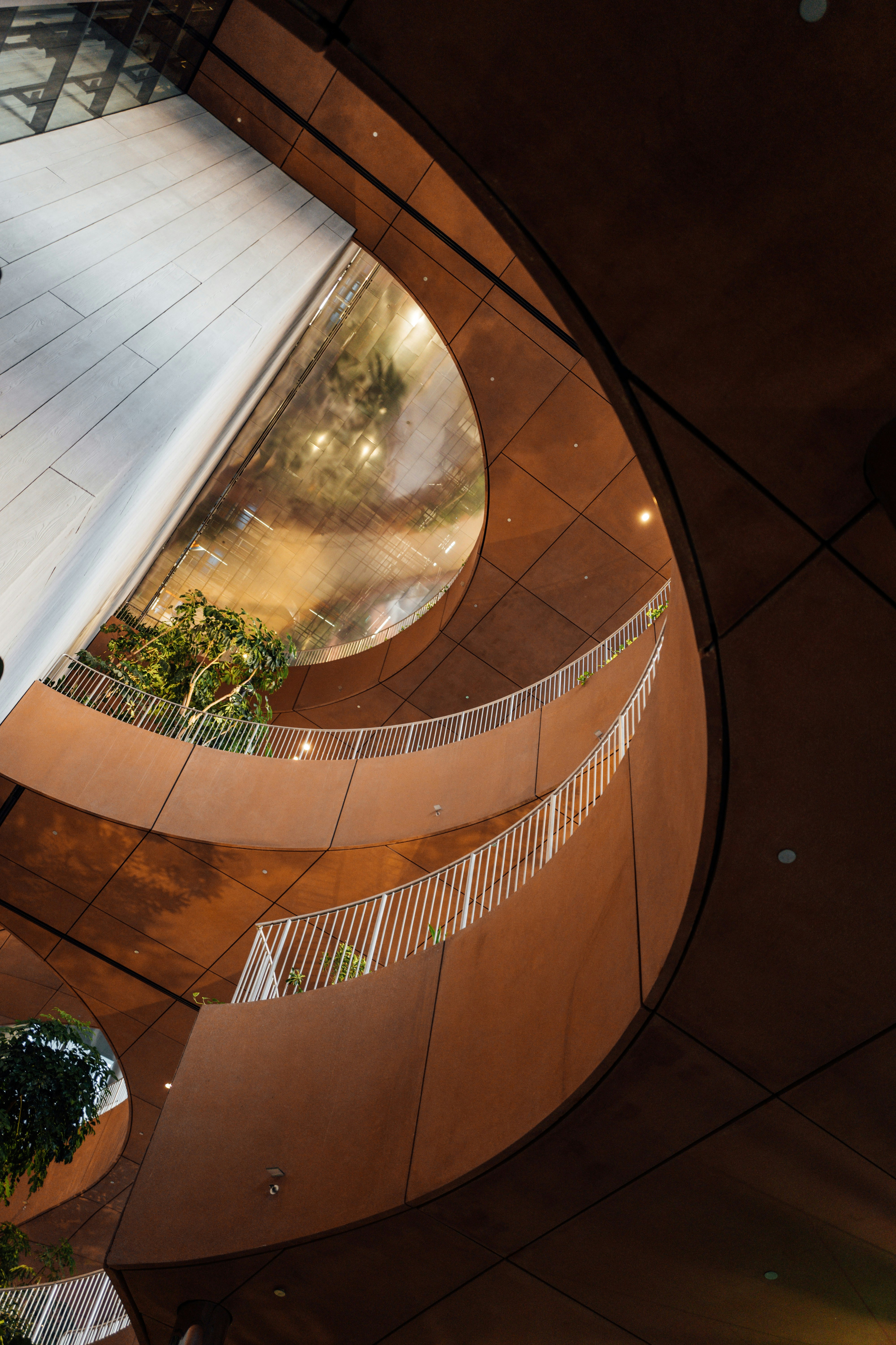 Photo by chuttersnap