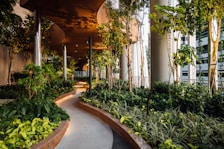 Pathway lined with native plants leading to the rooms, showcasing the resort’s nature-led design.