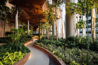 A modern garden with diverse plants and stone pathways.