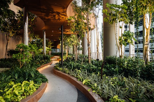 A lush green garden pathway with dense foliage of various plants and trees, surrounded by modern, sleek architectural columns. The pathway curves gently and is well-lit with warm lighting, creating an inviting and serene atmosphere.