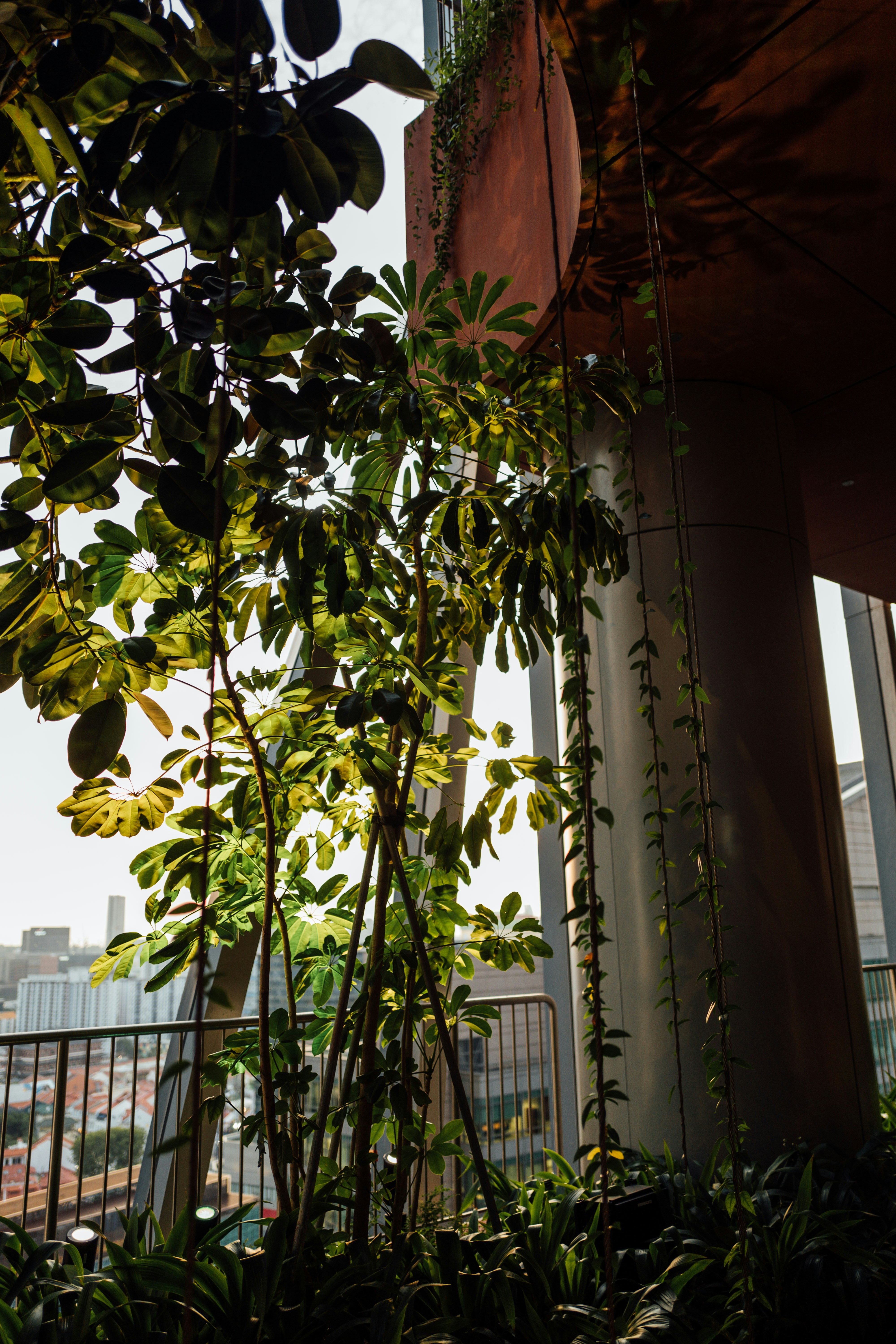 Photo by chuttersnap