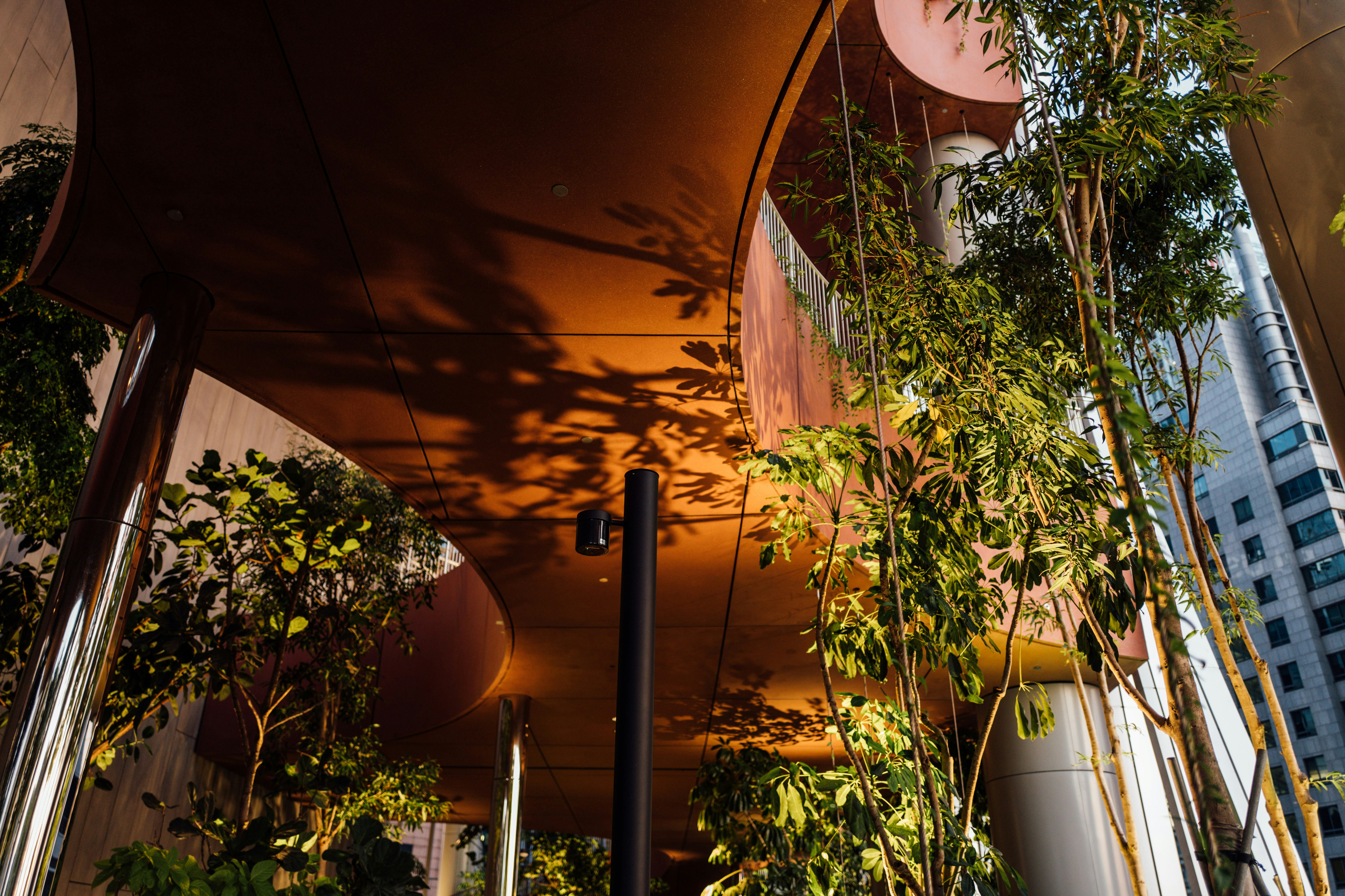 Photo by chuttersnap