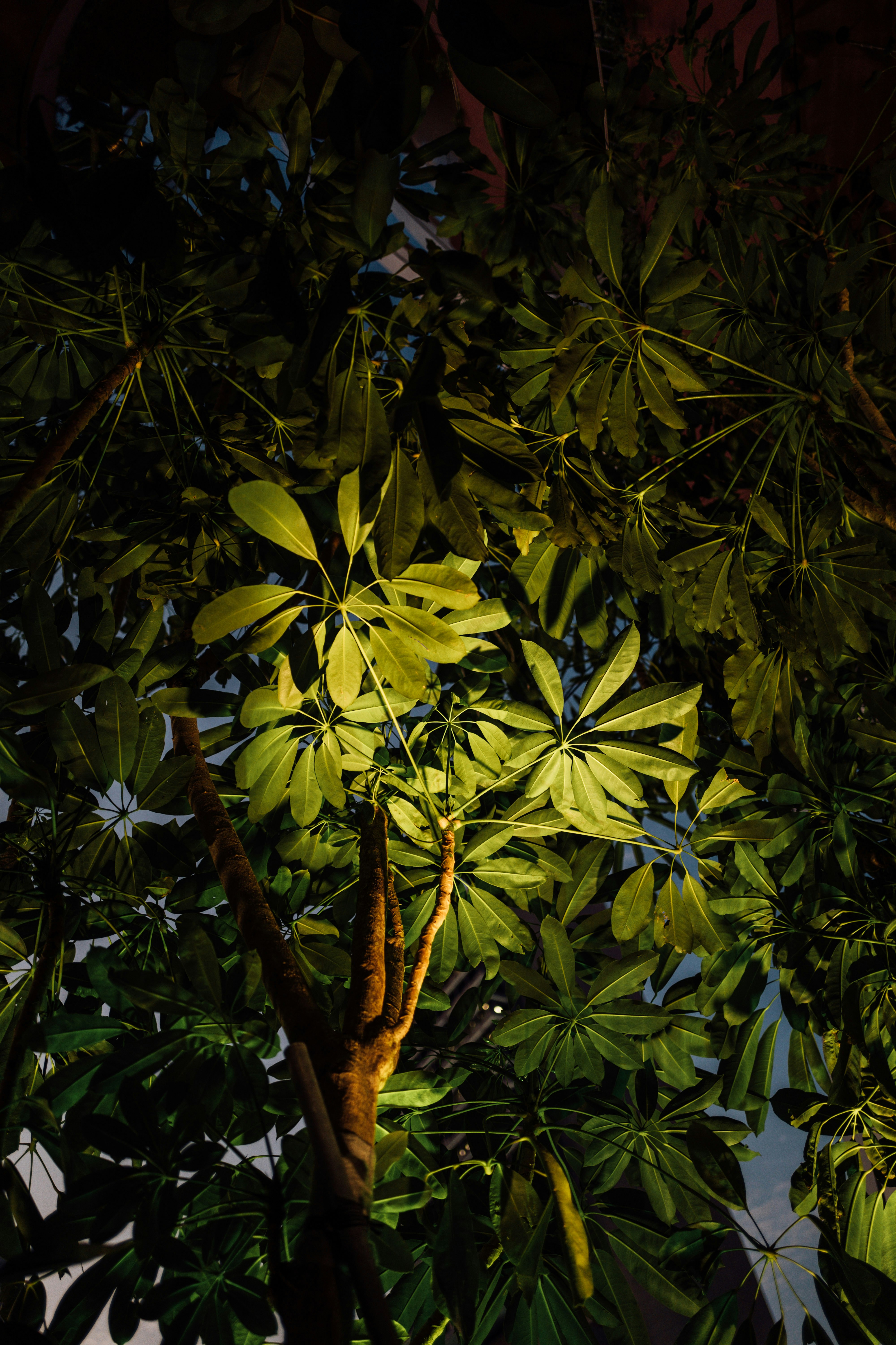 Photo by chuttersnap