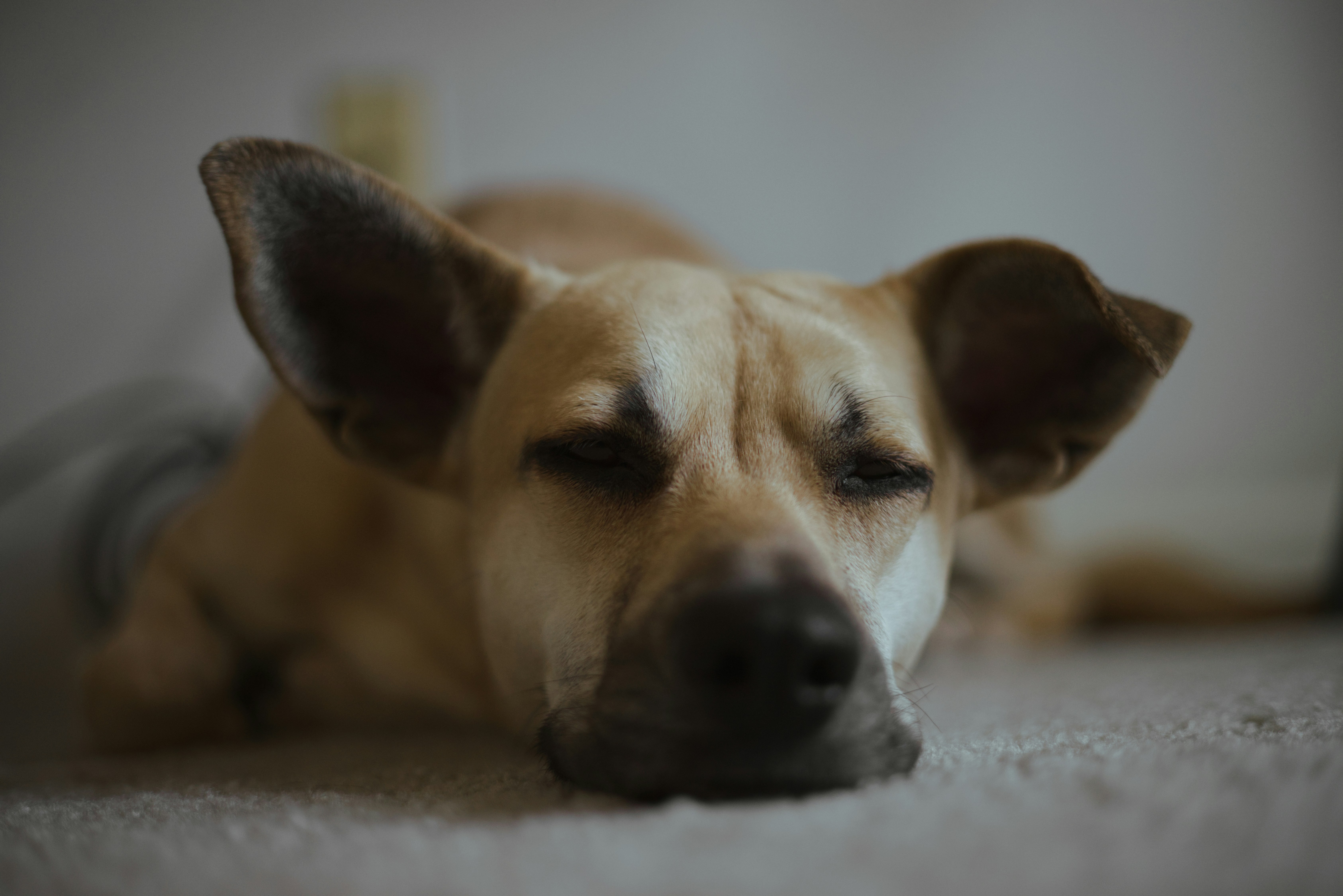 Photo by ldpeterson11