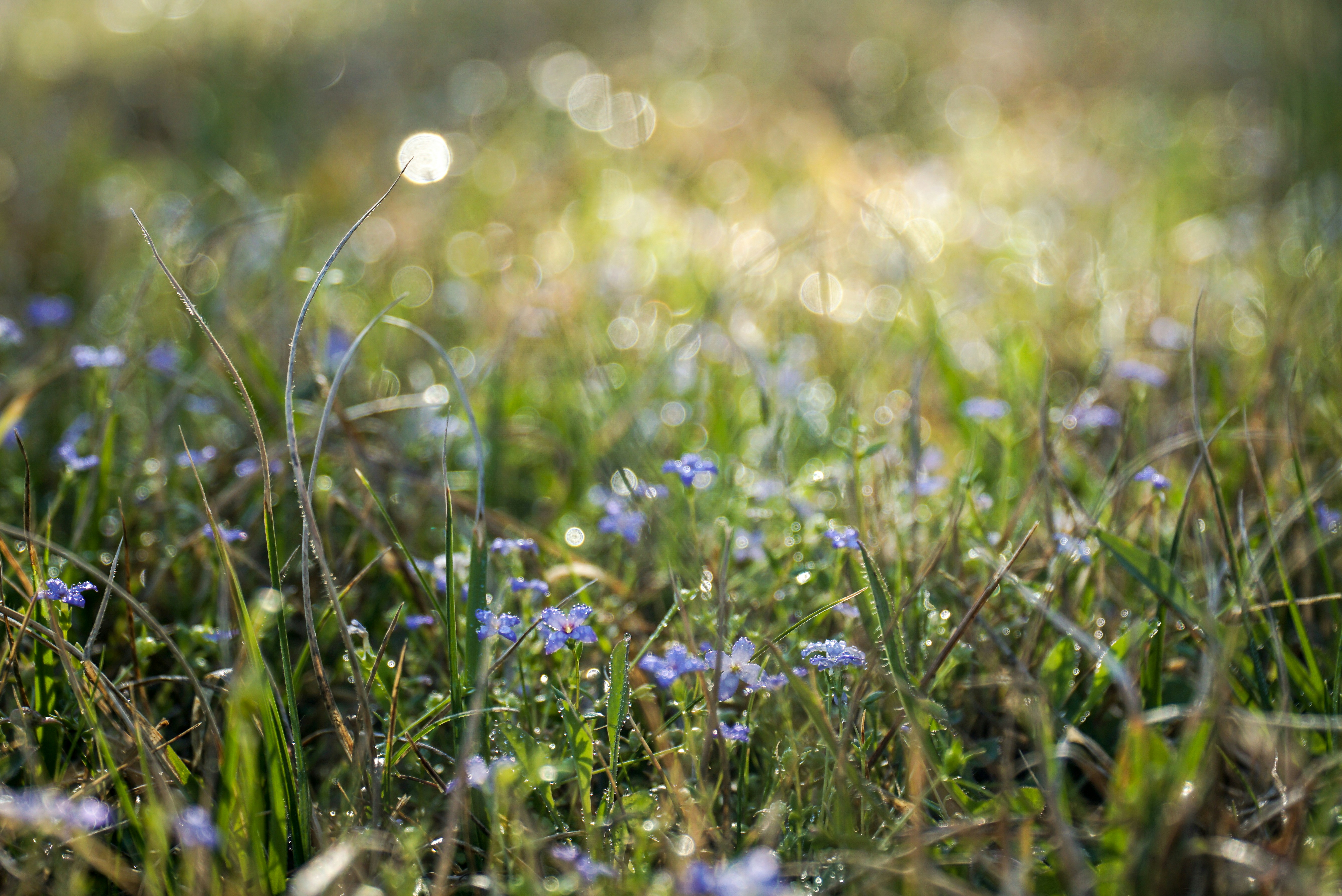 Photo by thomascpark