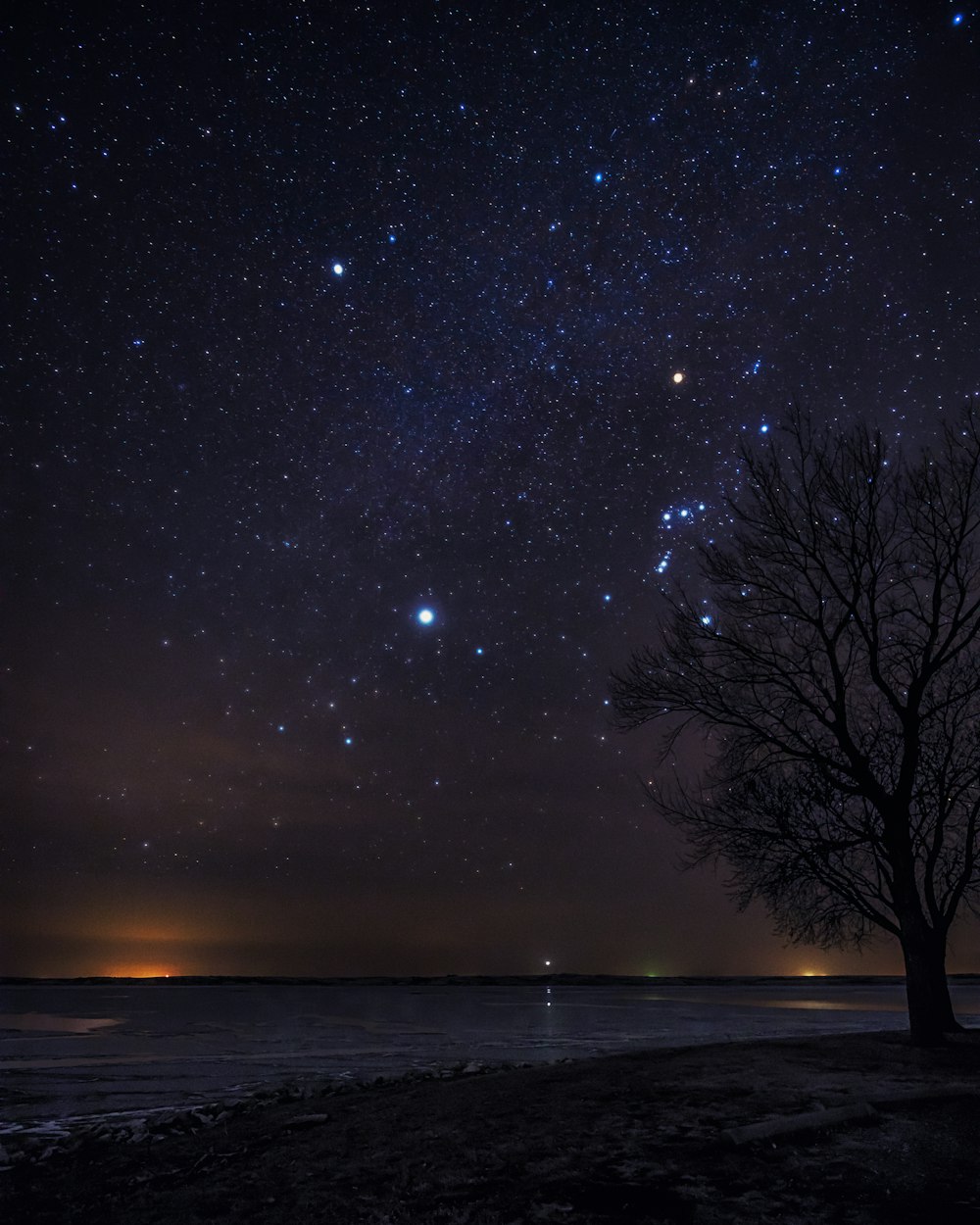 the night sky with stars above a tree