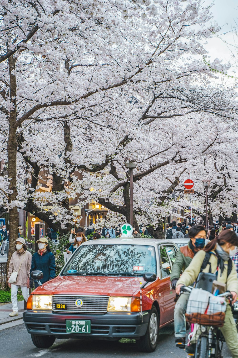 a red car driving down a street next to cherry blossom trees