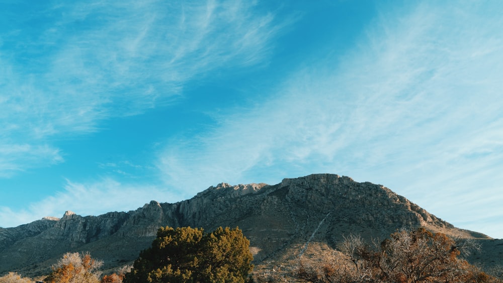 a view of a mountain with trees in the foreground