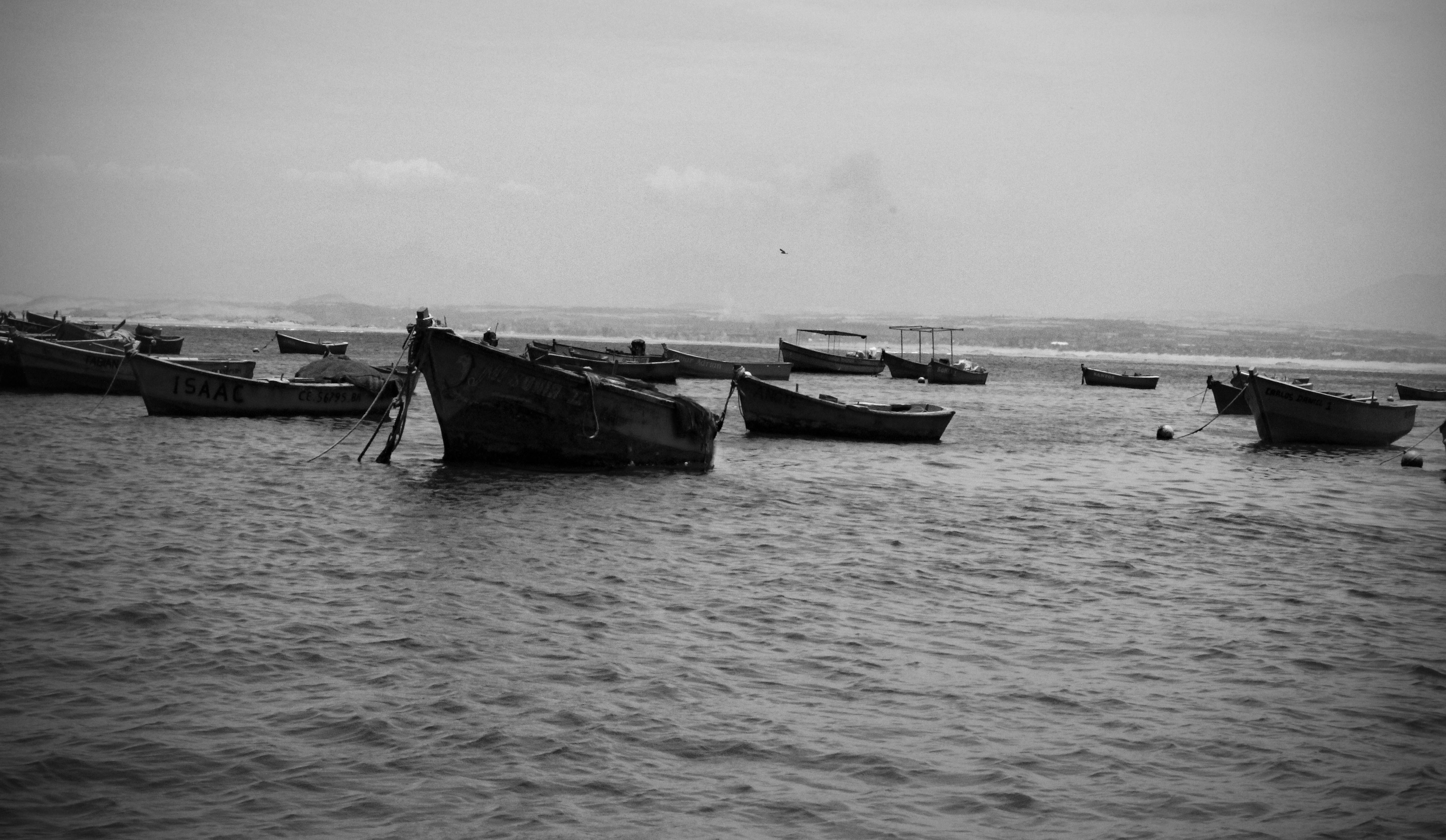 Photo by grisellcabrera11