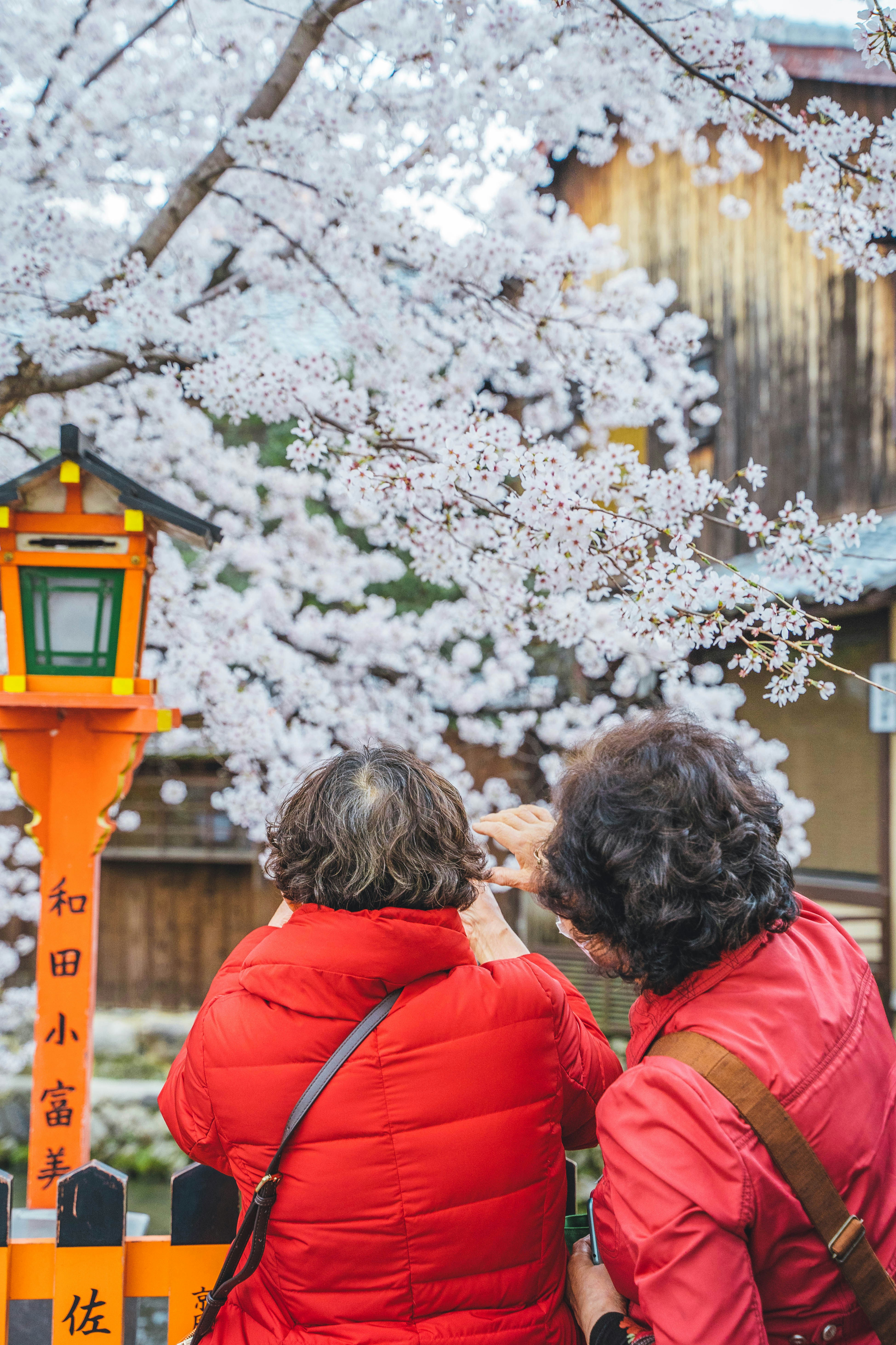 Housing Models for Single Elderly Japanese Women