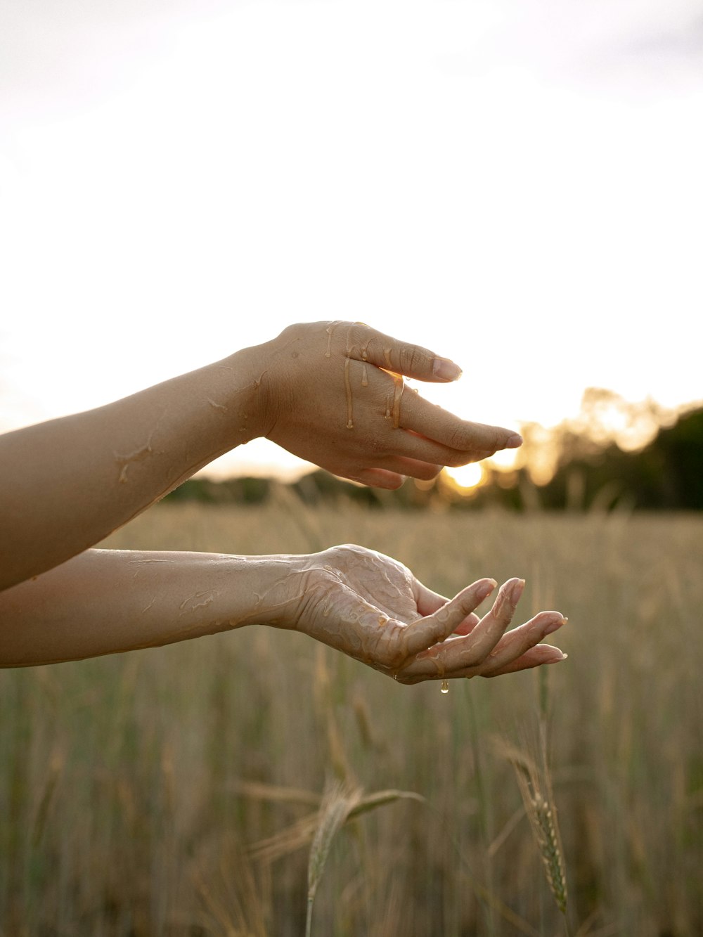 two hands reaching out towards each other in a field