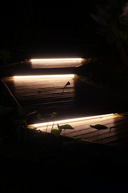 A dimly lit wooden walkway or steps with linear lights embedded along the edges. The surrounding area appears to be dark with hints of foliage visible.