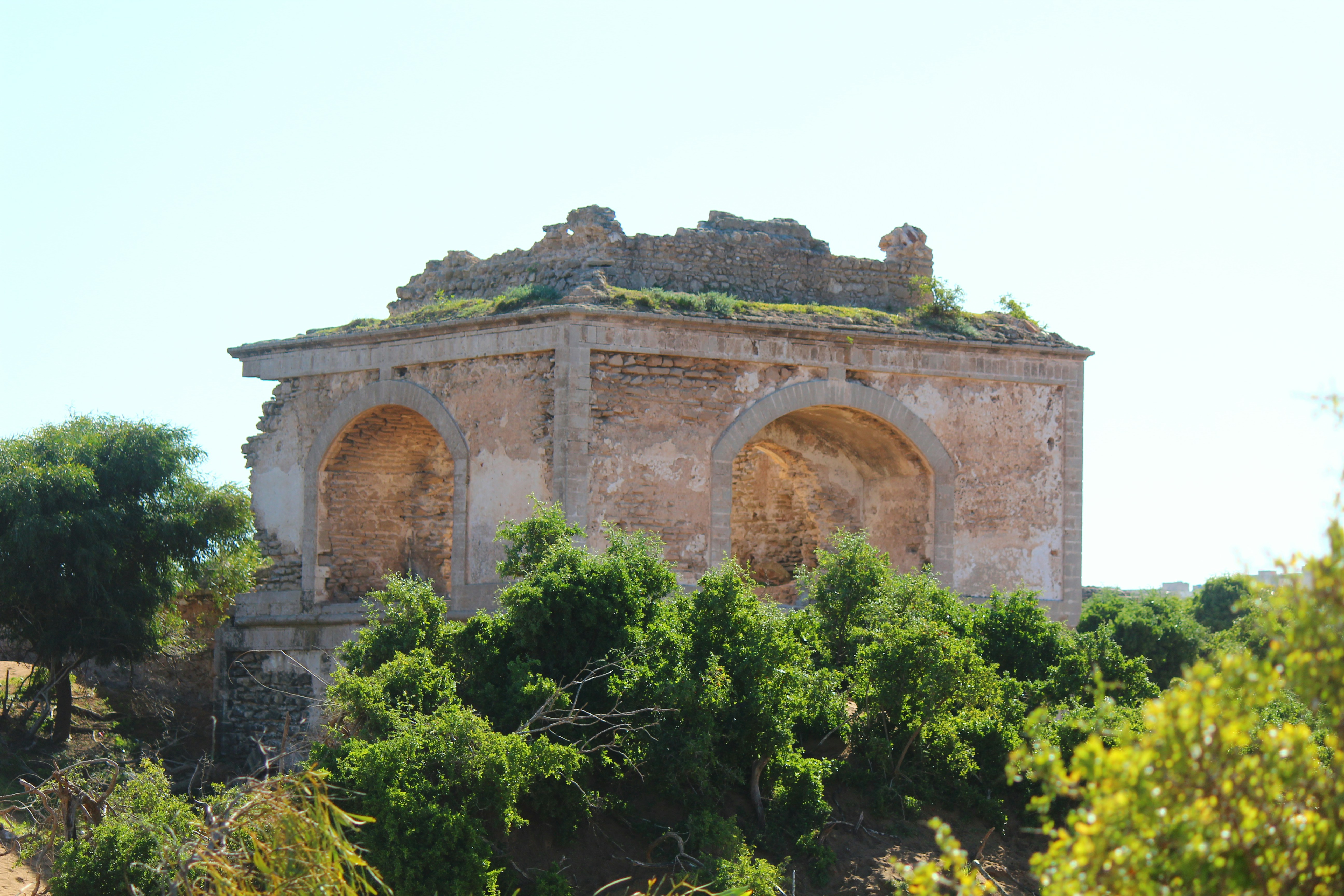 Photo by elmountassir1